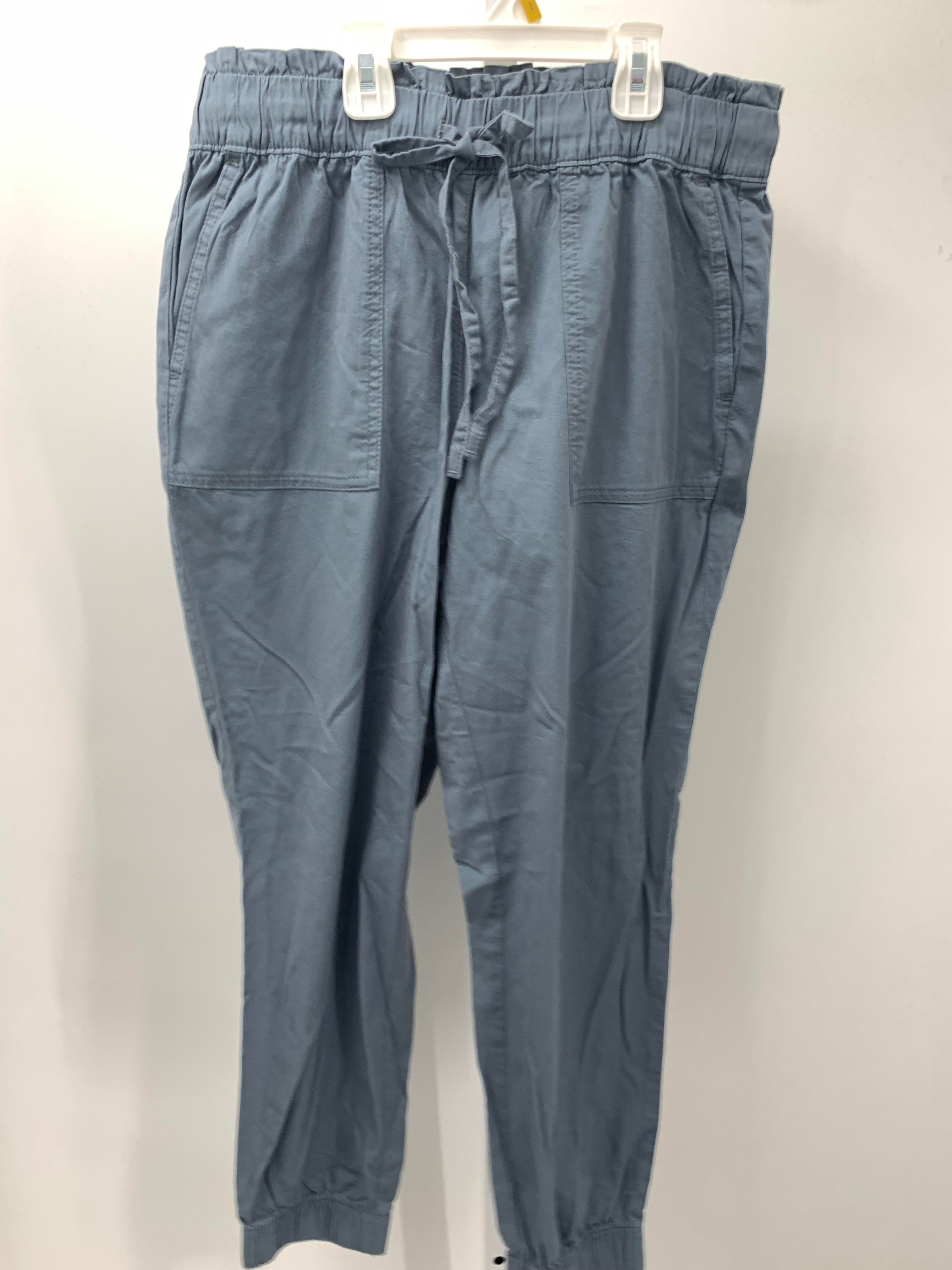 Loft Size Medium Petite Petite Pants