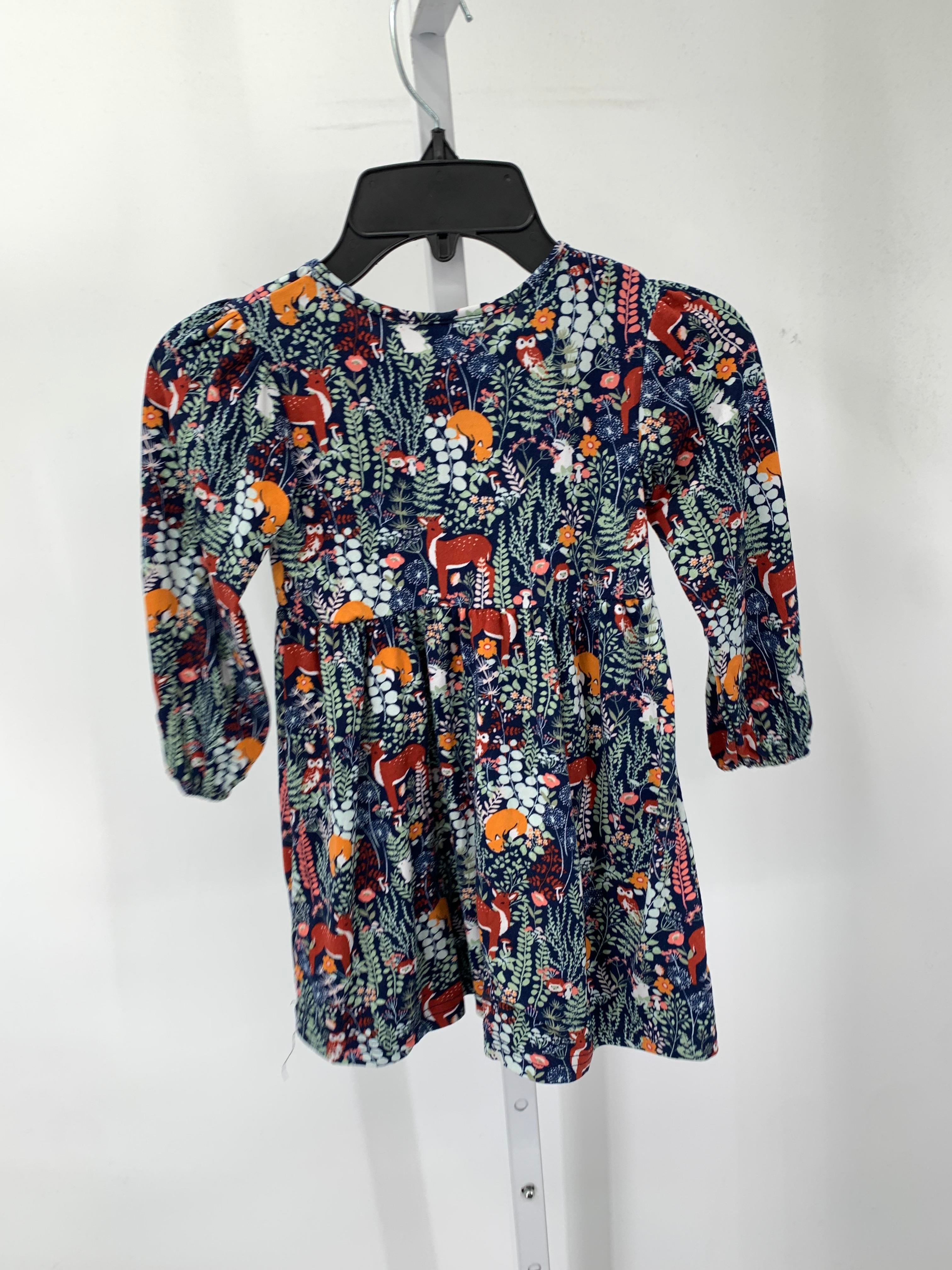 Size 3T Girls Long Sleeve Dress