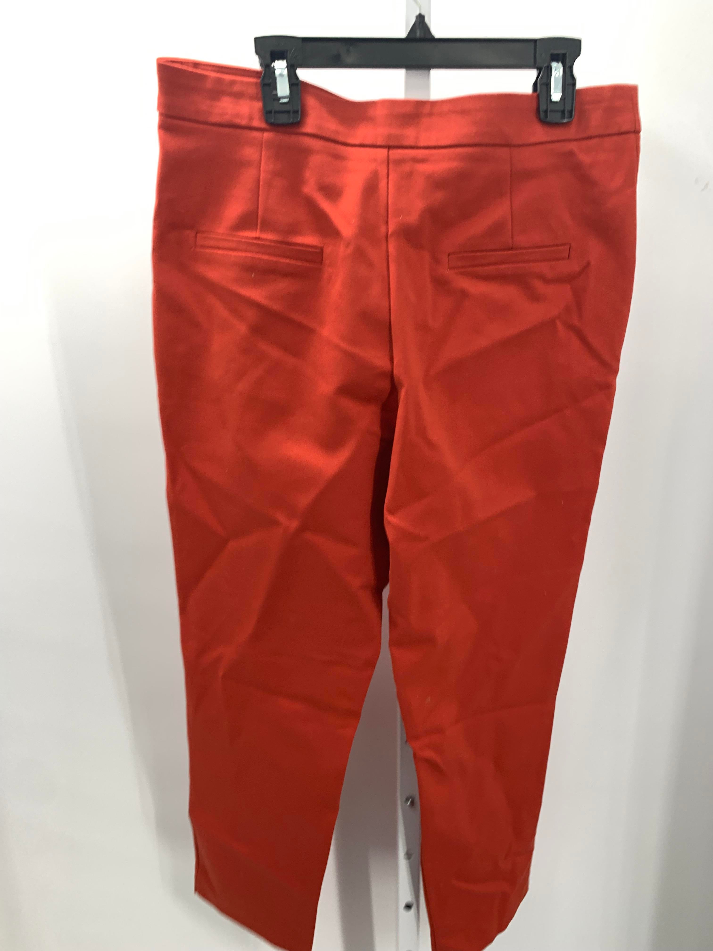 Size Large Misses Pants