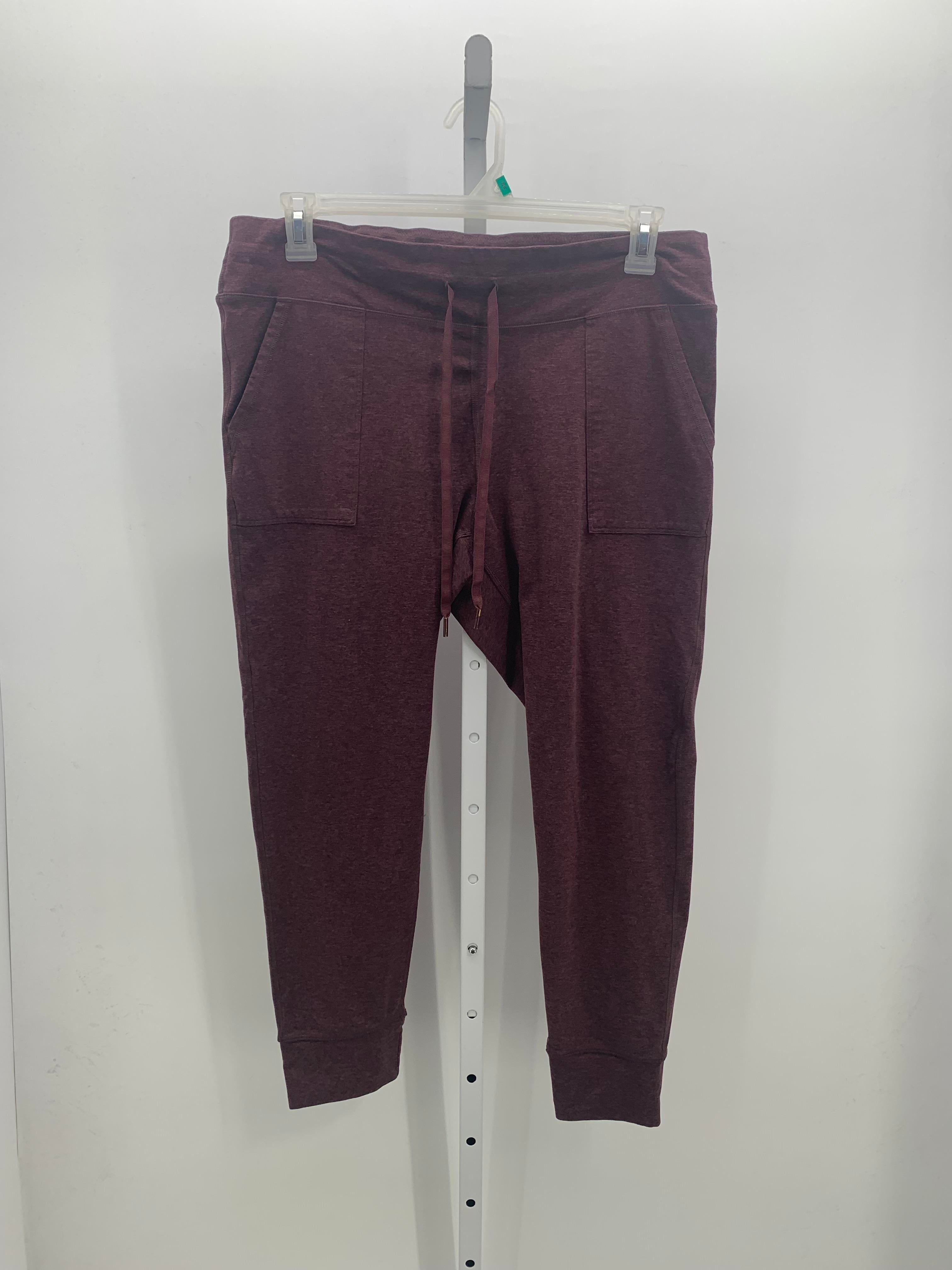 Aerie Size XXL Juniors Pants