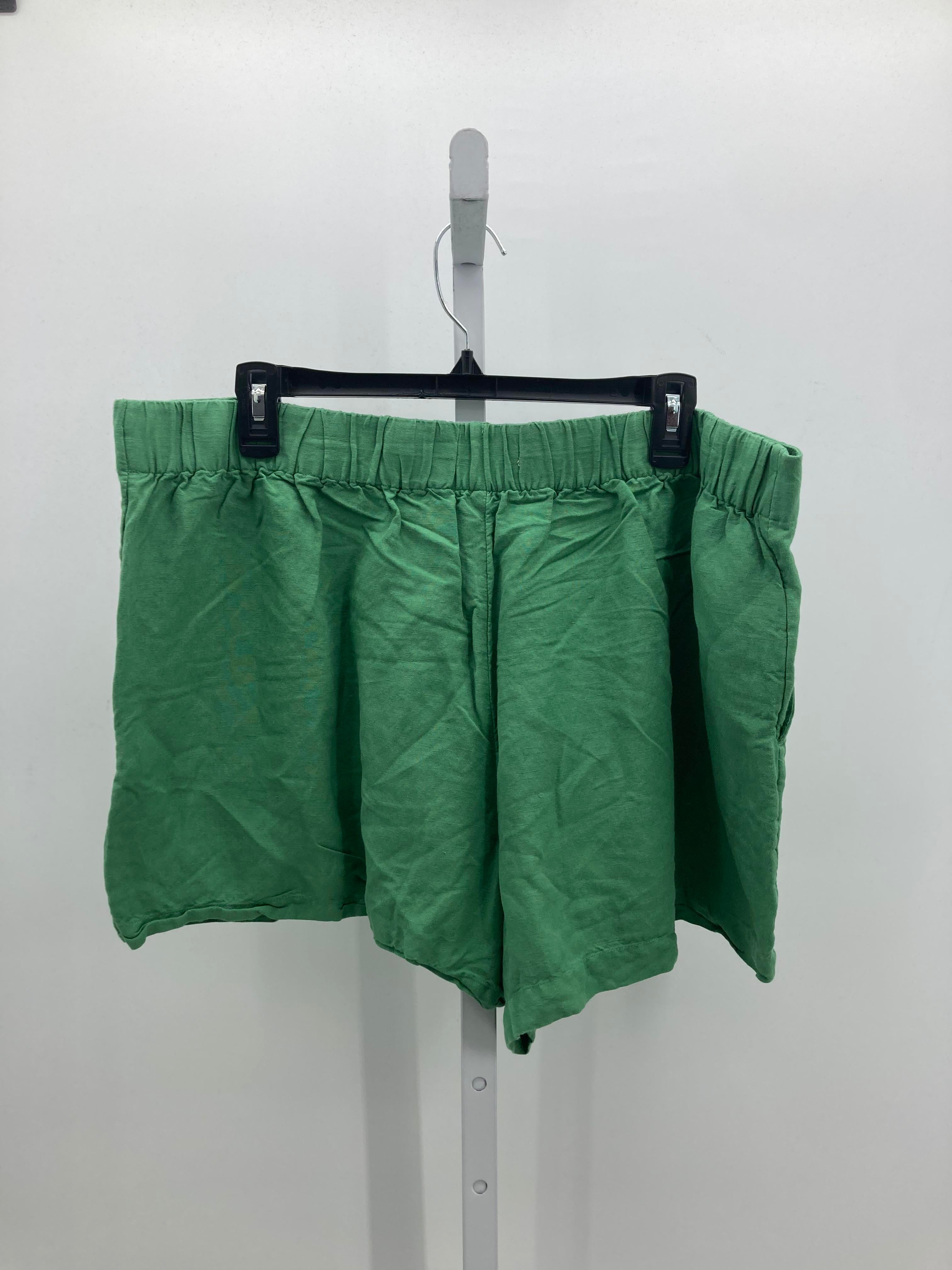 Loft Size XXL Misses Shorts