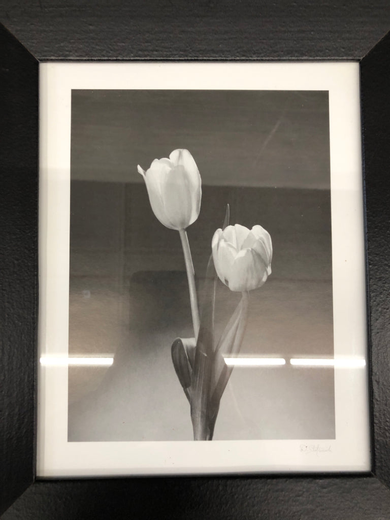 BLACK AND WHITE TULIP WALL ART.