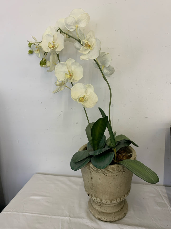 FAUX ORCHID IN DISTRESSED PLANTER.