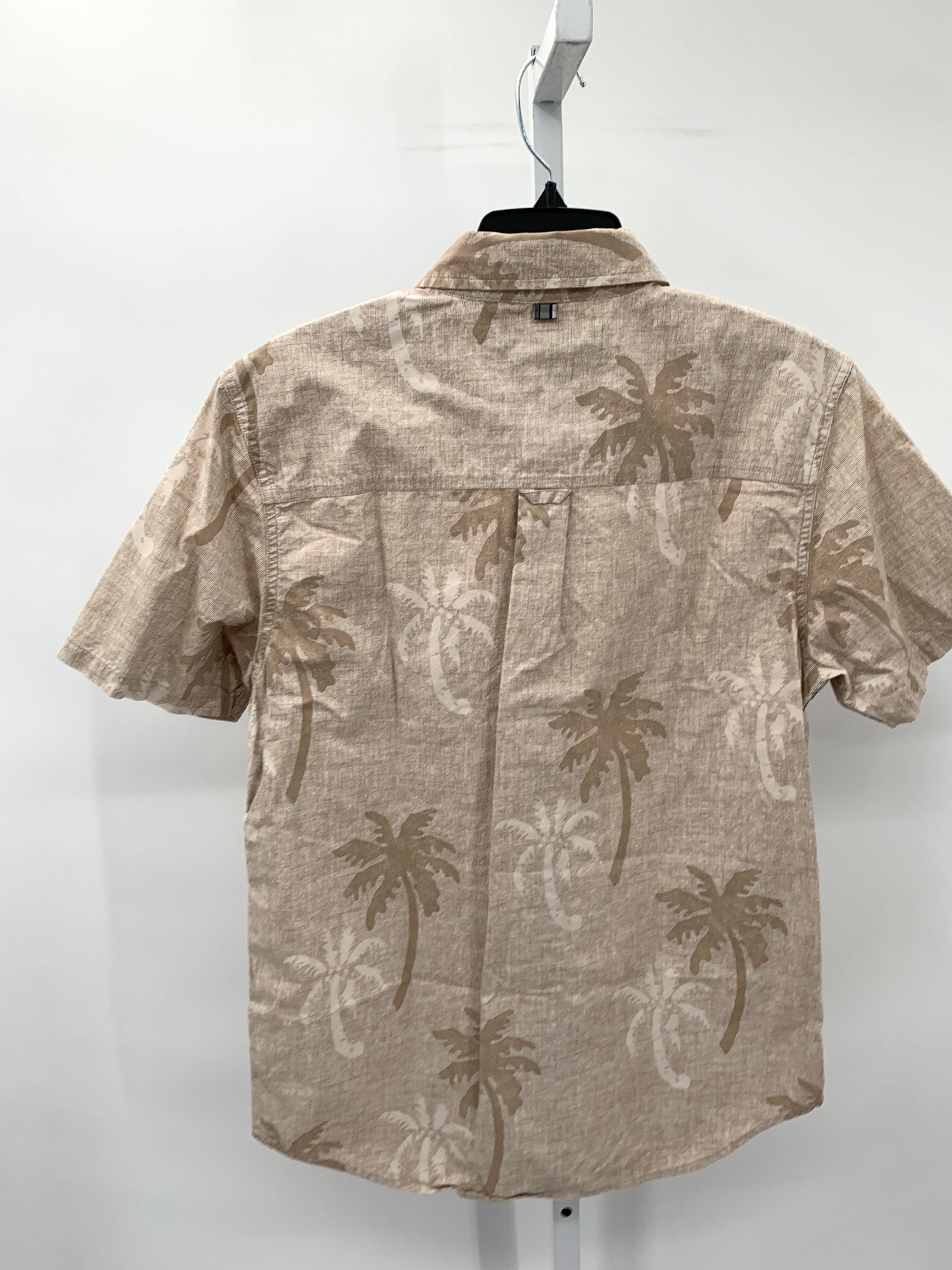 PALM TREES BTN DOWN