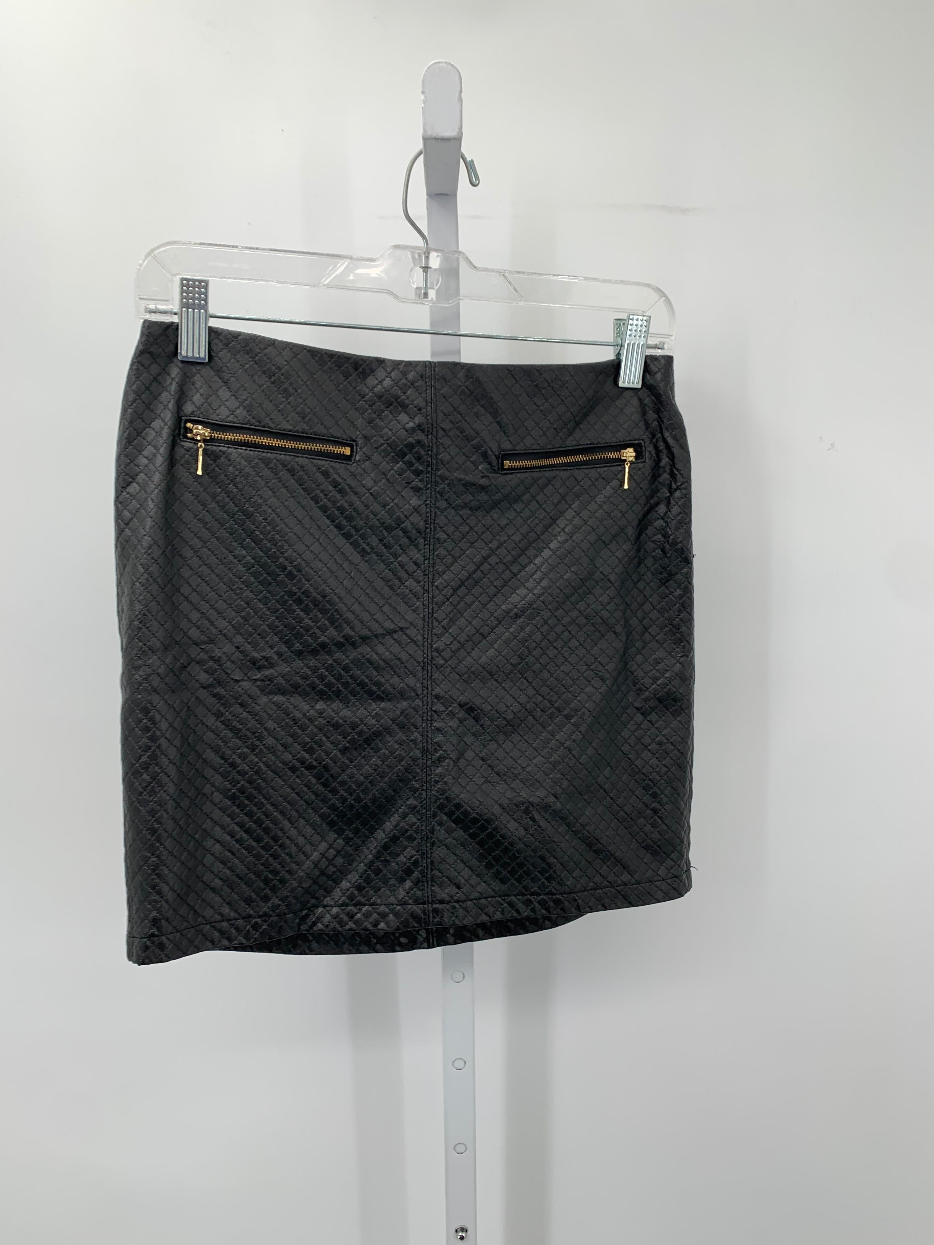 Dalia Collection Size 2 Misses Skirt