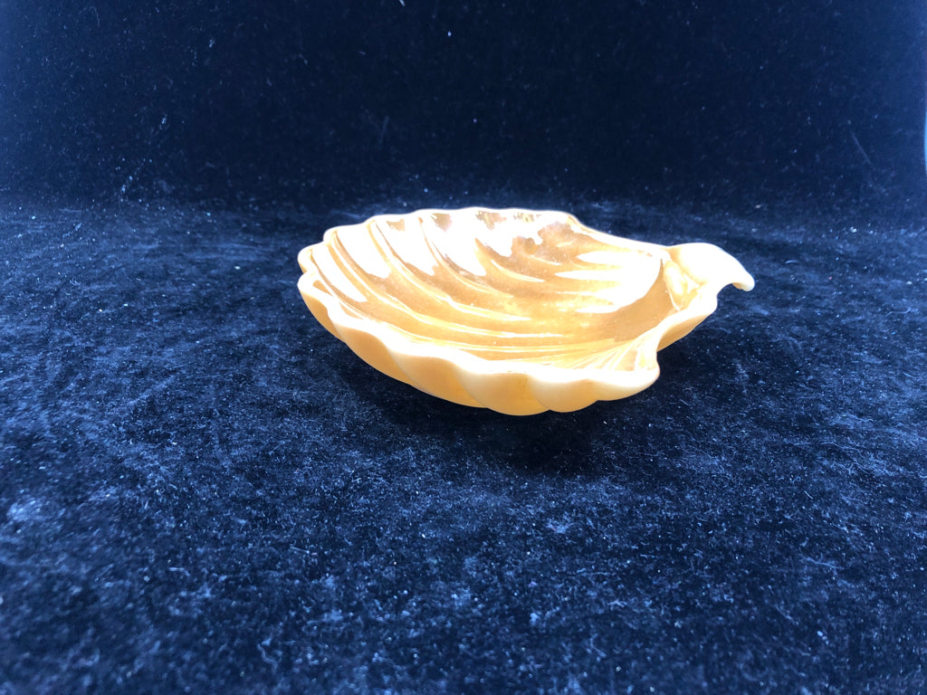 OPALESCENT CORAL SEA SHELL TRINKET DISH.