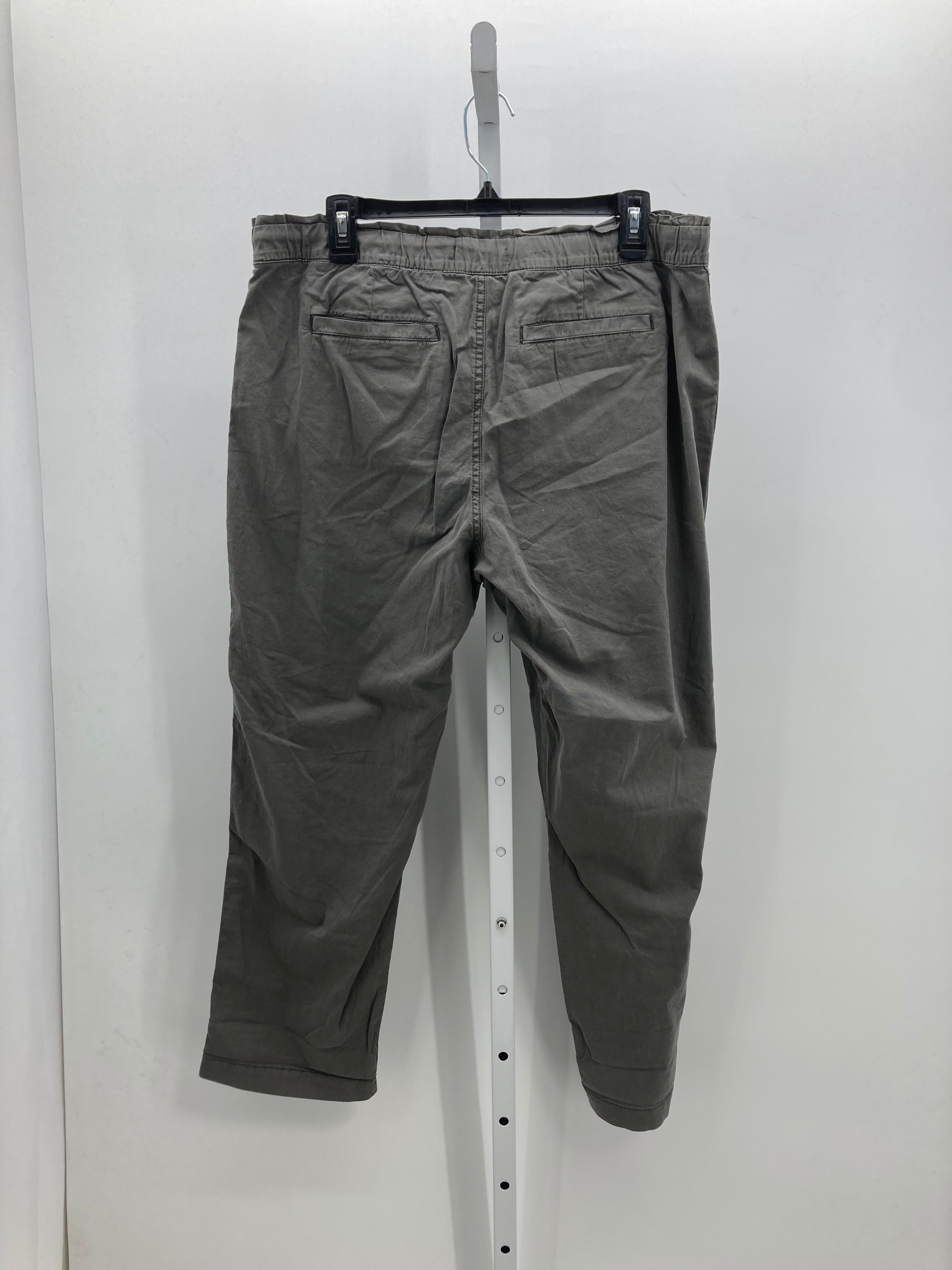 Sonoma Size Large Misses Pants