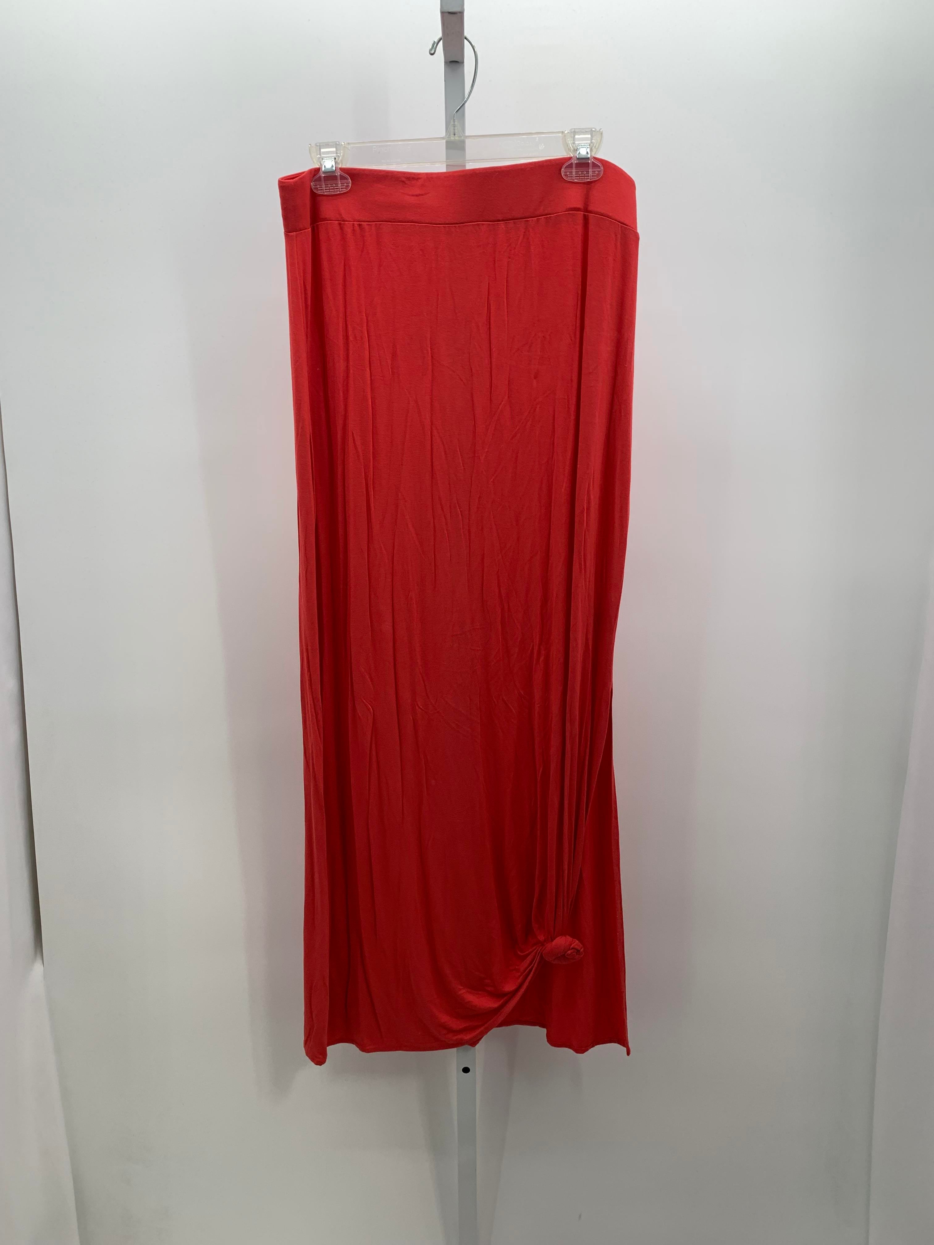 The Limited Size Medium Misses Skirt