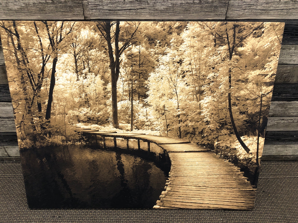 WOOD PATH THROUGH TREES AND POND BLACK/WHITE CANVAS.