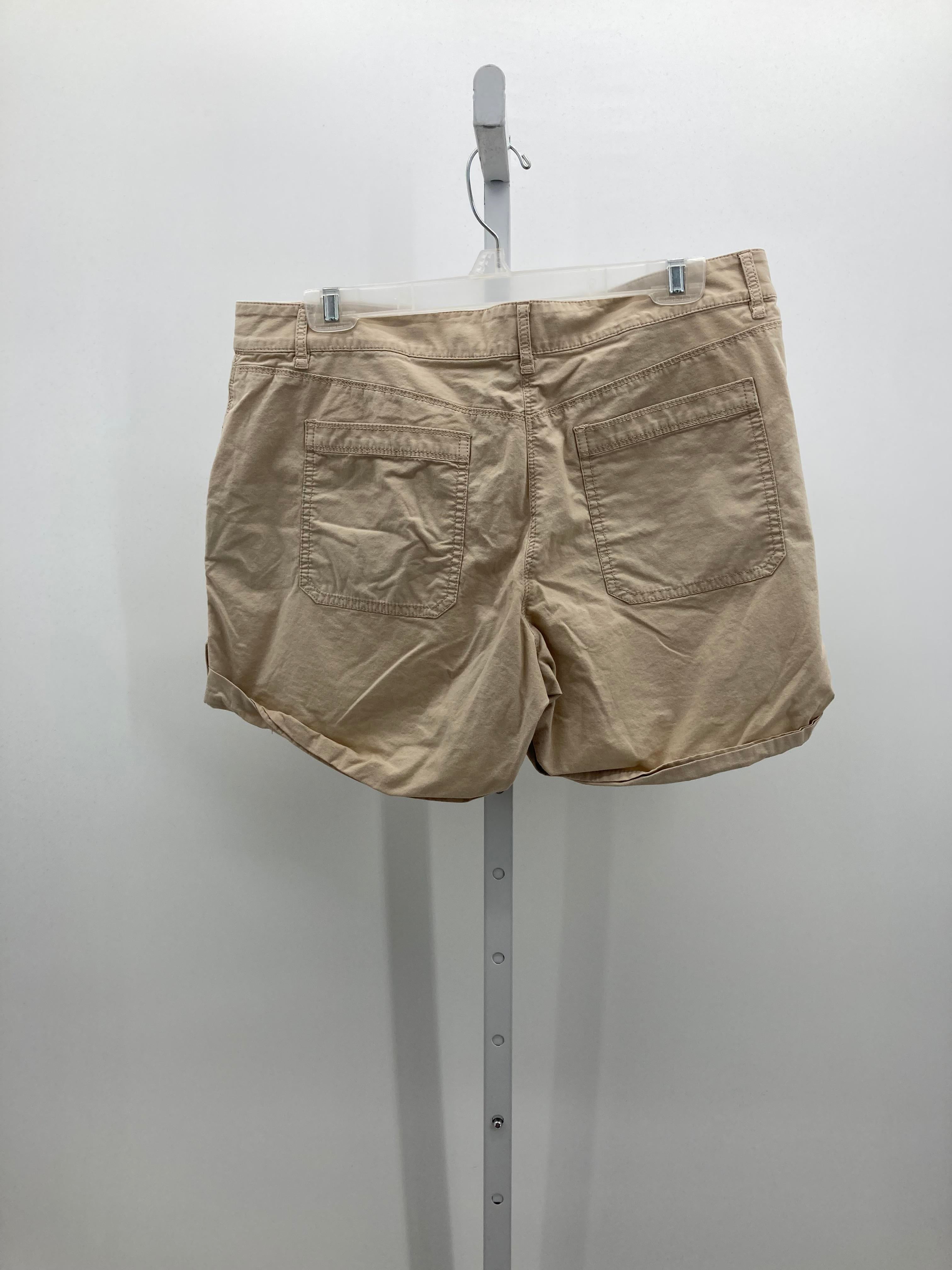 White House Black Size 12 Misses Shorts