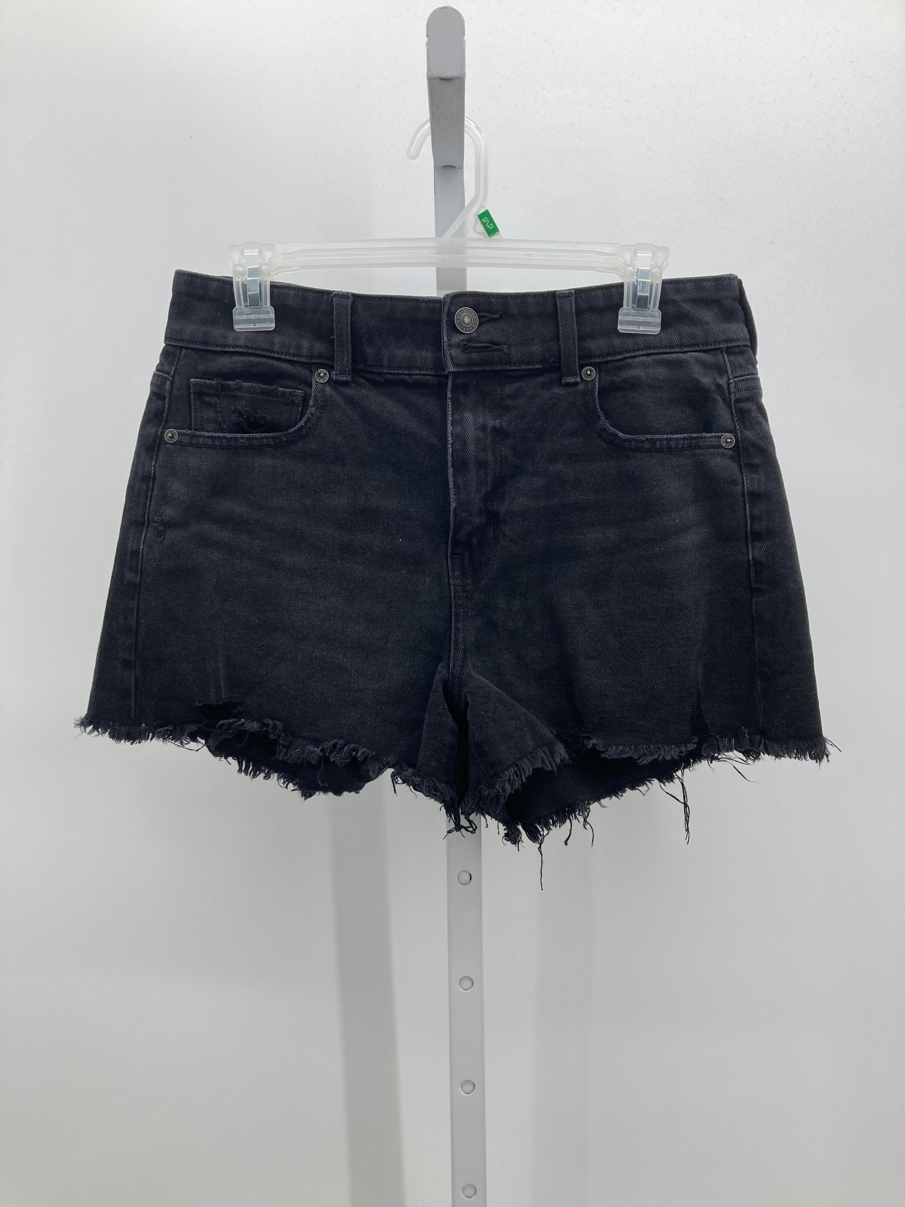 American Eagle Size 8 Misses Shorts
