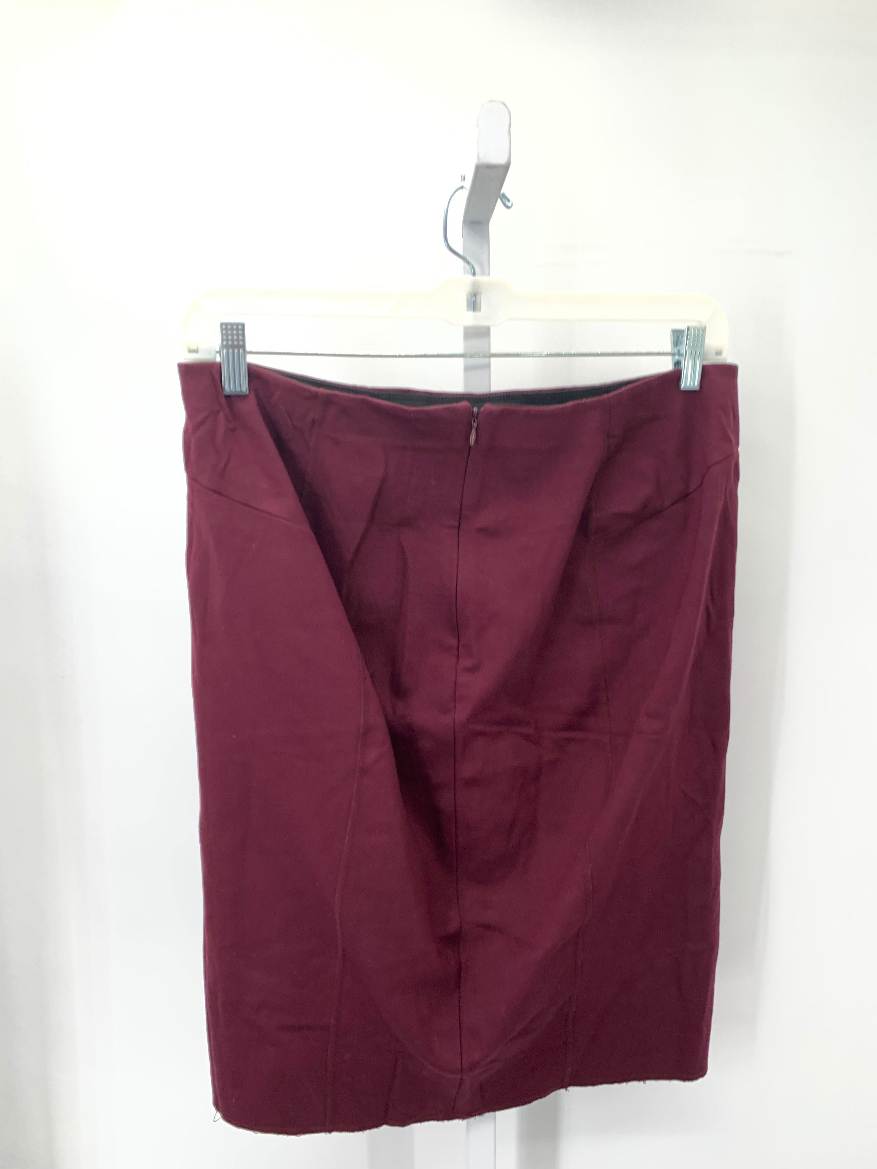 Ann Taylor Size 14 Misses Skirt