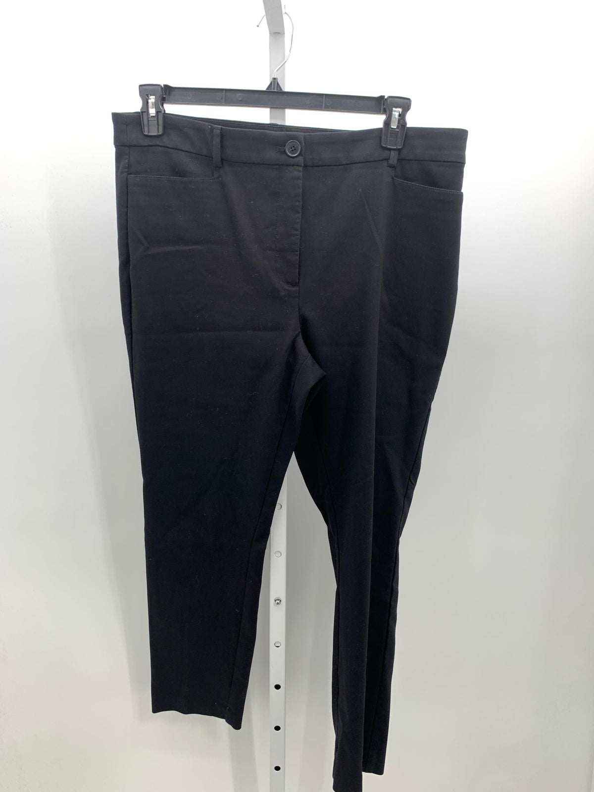 Loft Size 14 Misses Pants