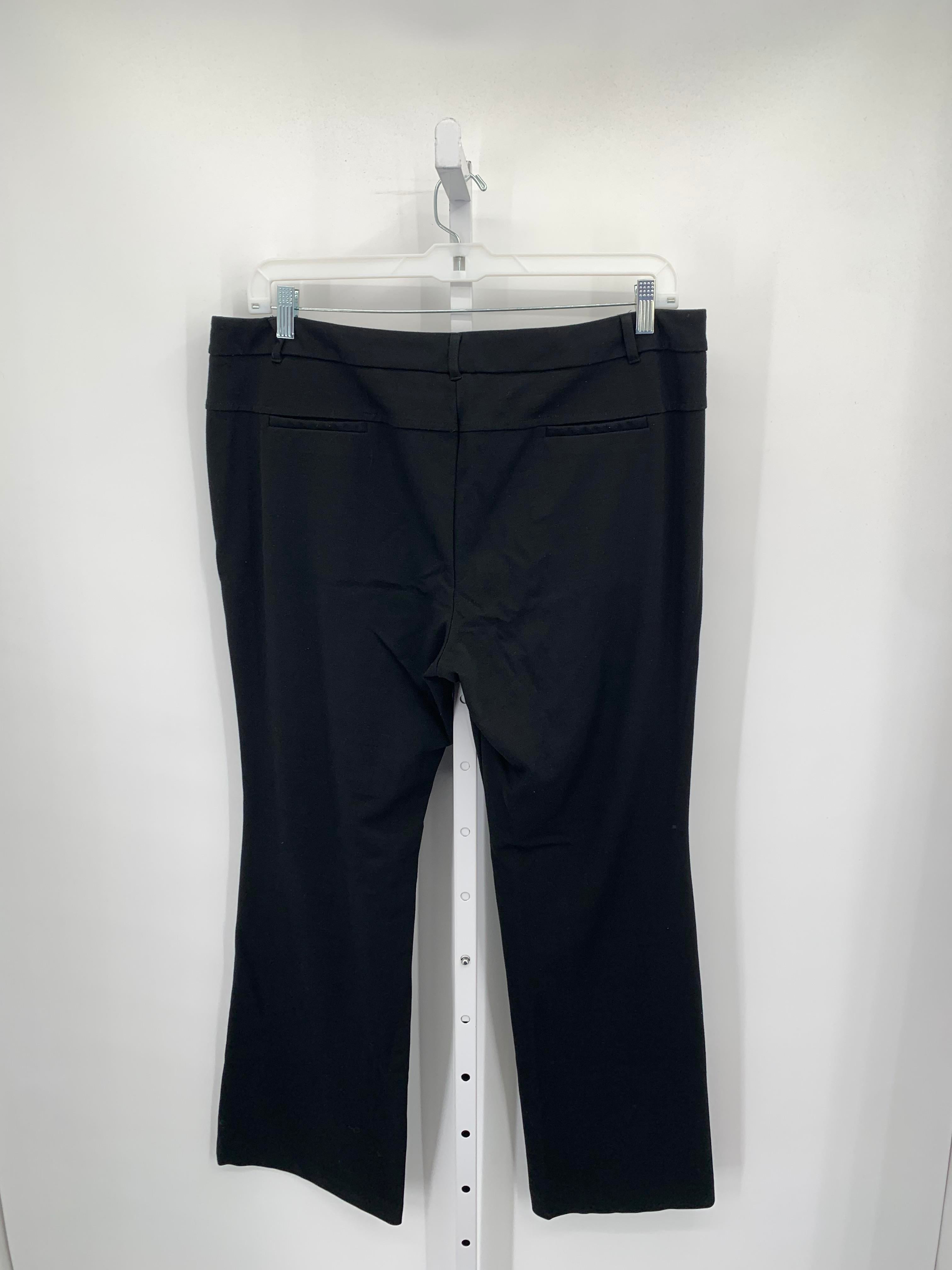 New York & co. Size 18 Misses Pants