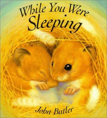 While You Were Sleeping Butler, John [Used - Good] [Hardcover] - Butler, John