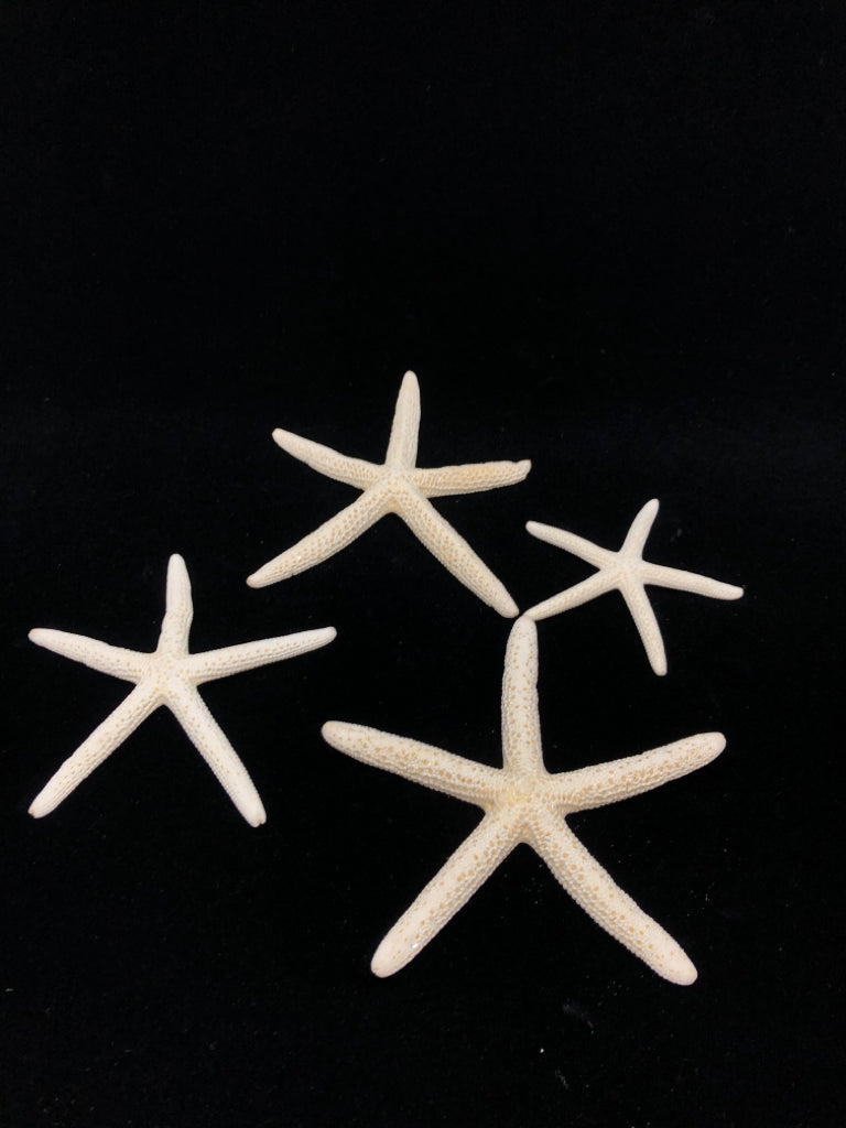 DRIED STARFISH DECOR IN BAG.
