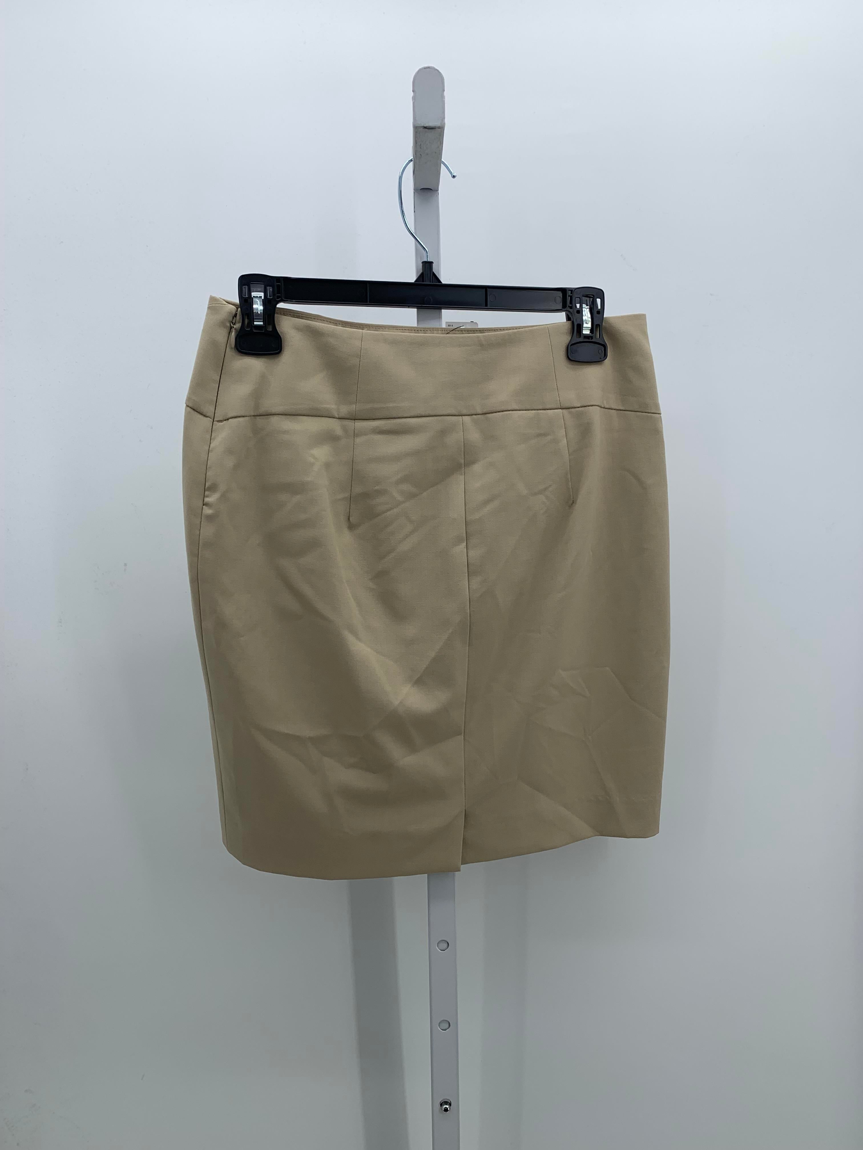 The Limited Size 2 Misses Skirt