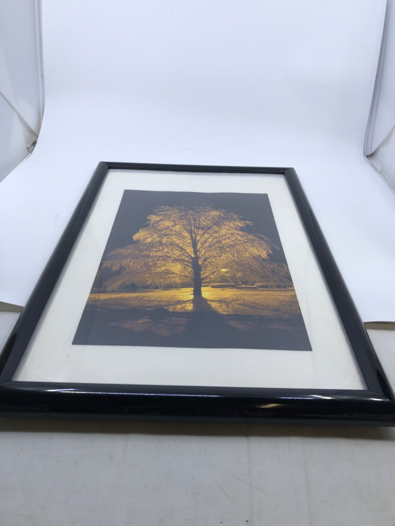 TREE IMAGE IN BLACK FRAME WALL ART.