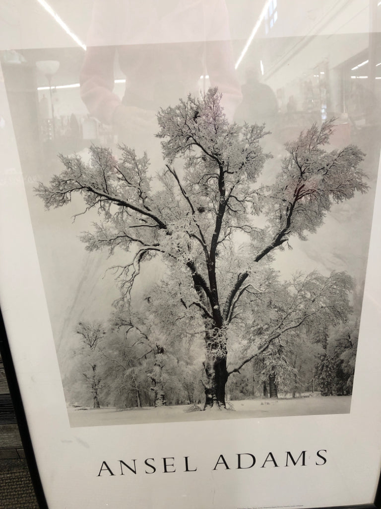 ANSEL ADAMS FRAMED WINTER SCENE.