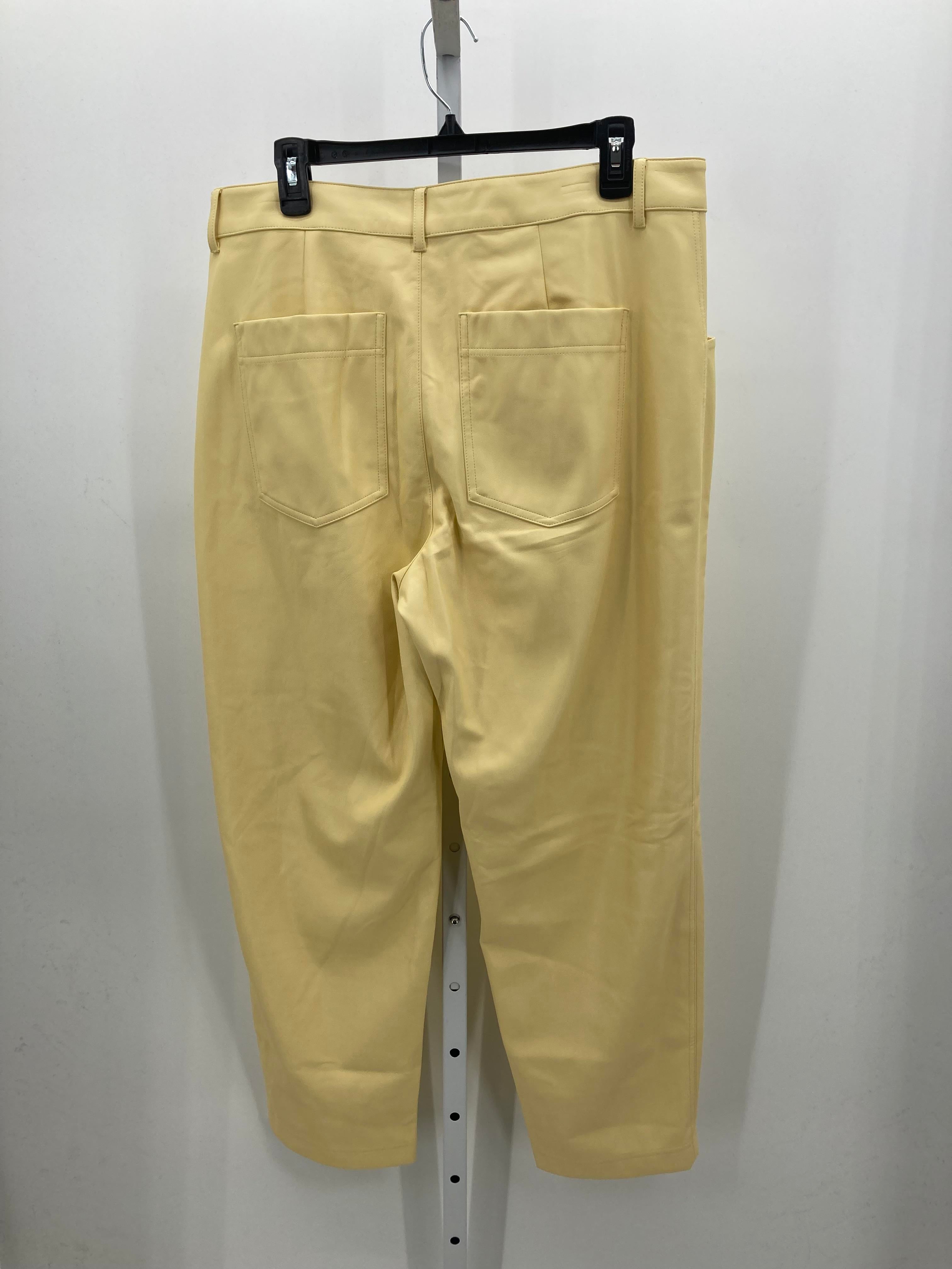 A New Day Size 14 Misses Pants