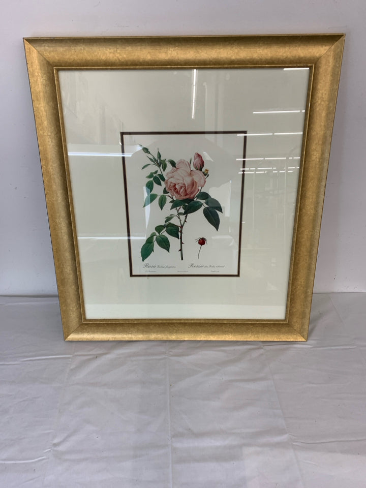 ROSE IN GOLD FRAME WALL HANGING.