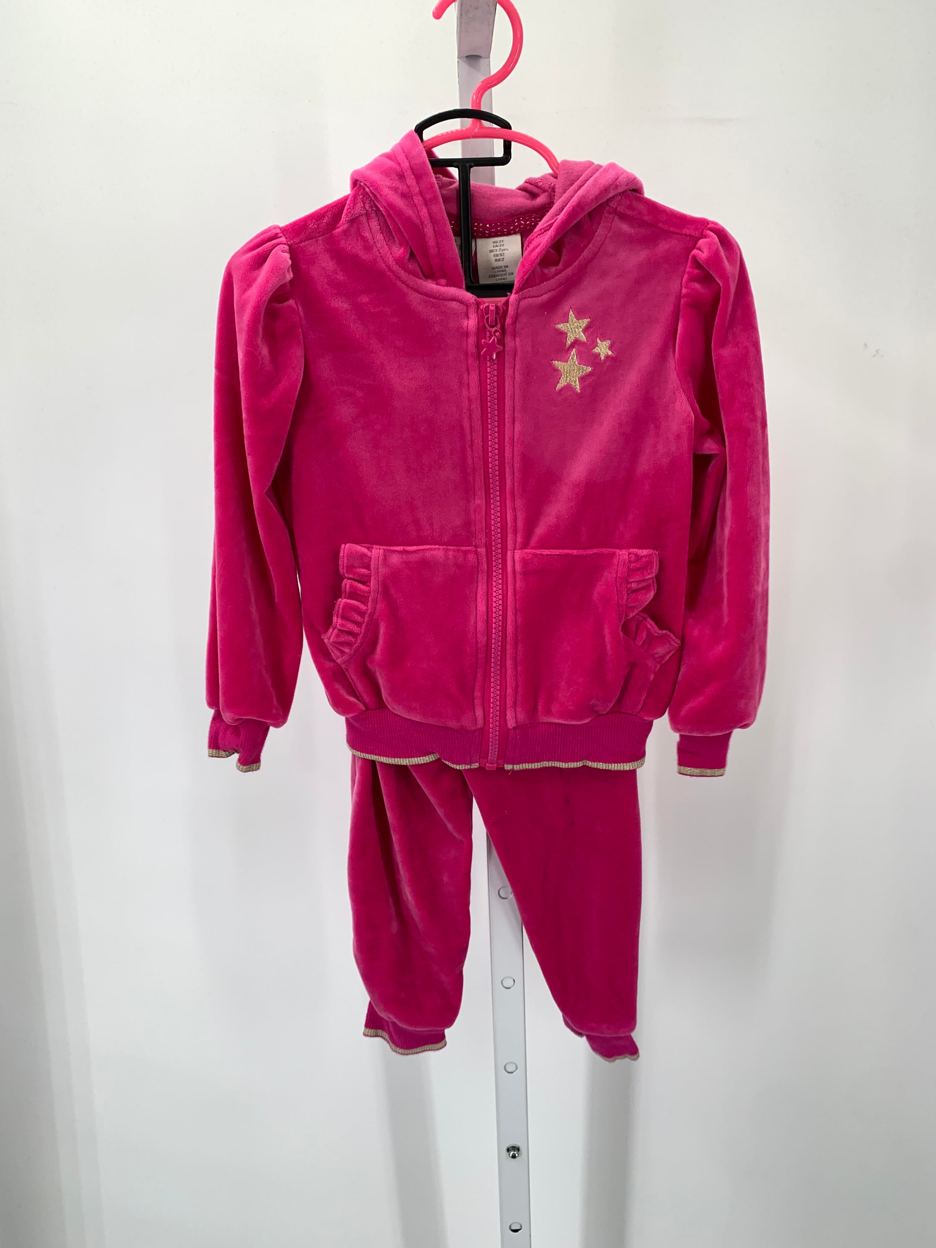 Size 2T Girls 2 Pieces