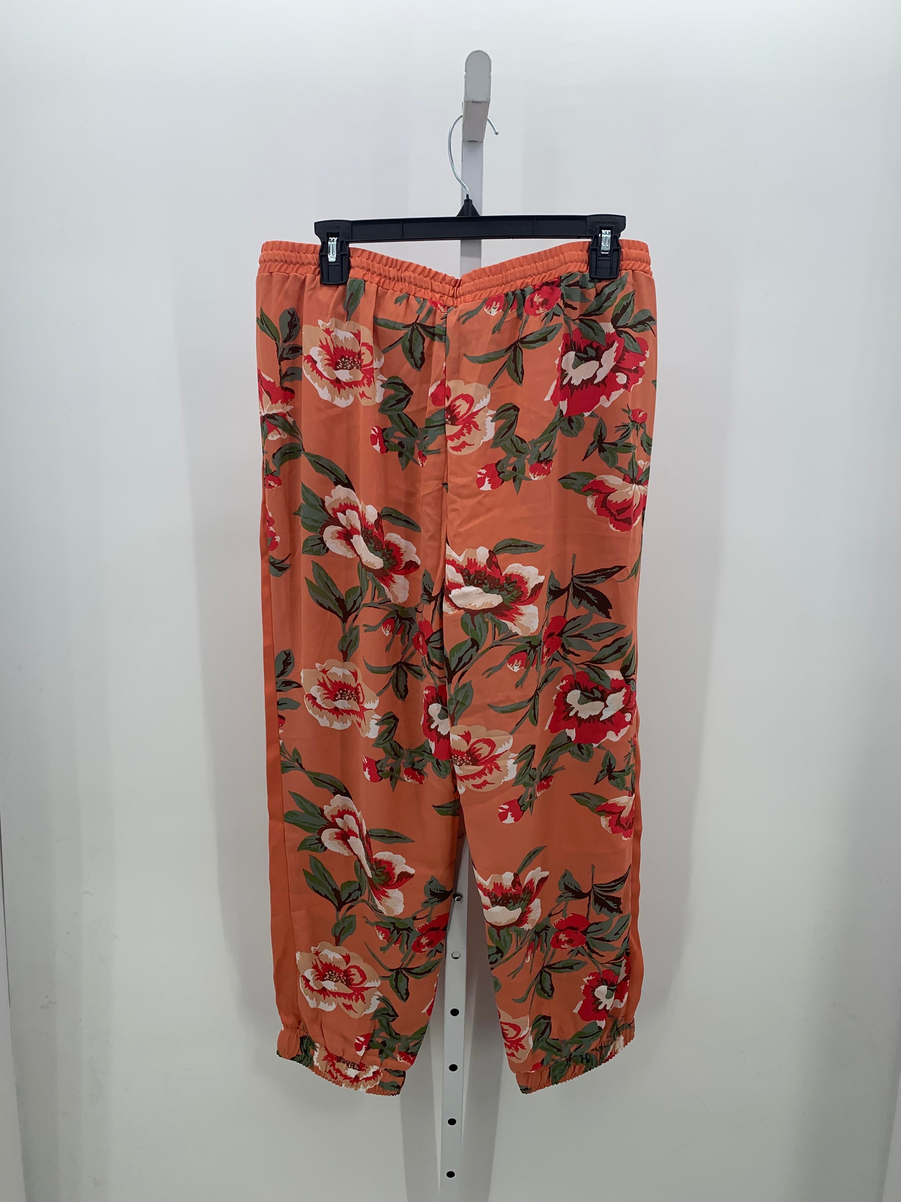 Fever Size Large Juniors Pants