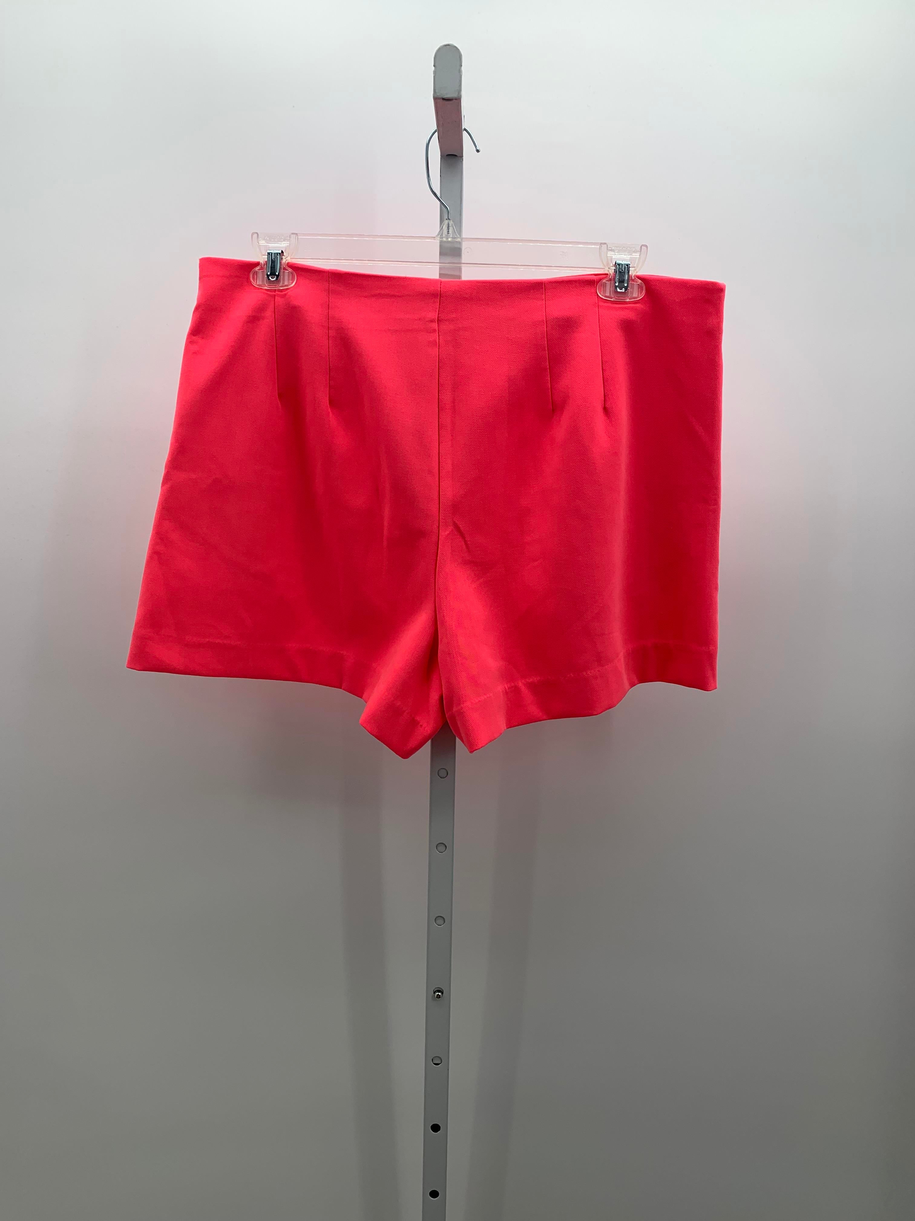 A New Day Size 16 Misses Shorts