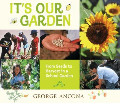 It's Our Garden: from Seeds to Harvest in a School Garden - Ancona, George