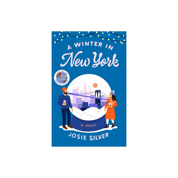 A Winter in New York : a Novel (Paperback) -