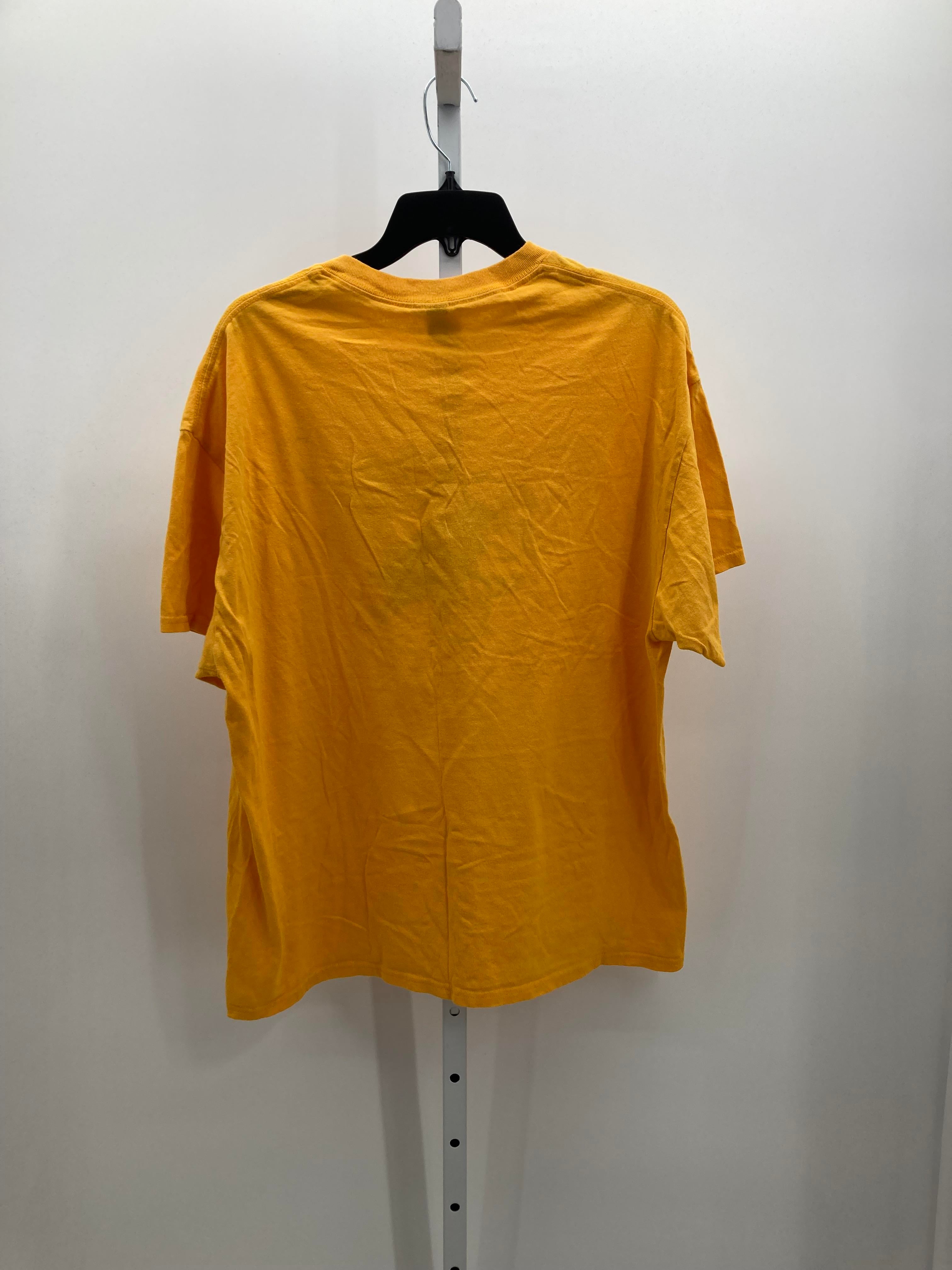 AMERICAN INTERNATIONAL COLLEGE BEE