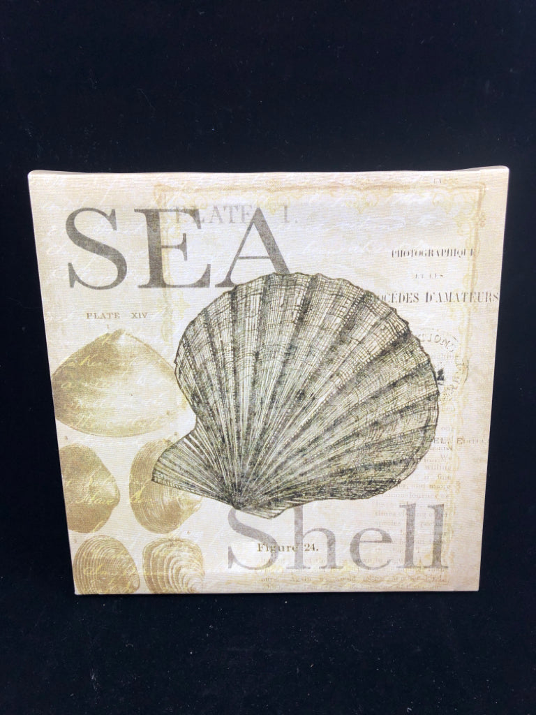 TAN SEA SHELL CANVAS WALL ART.