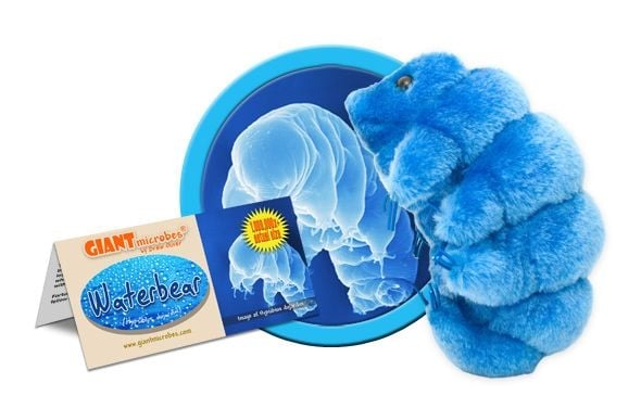 GIANT Microbes Waterbear