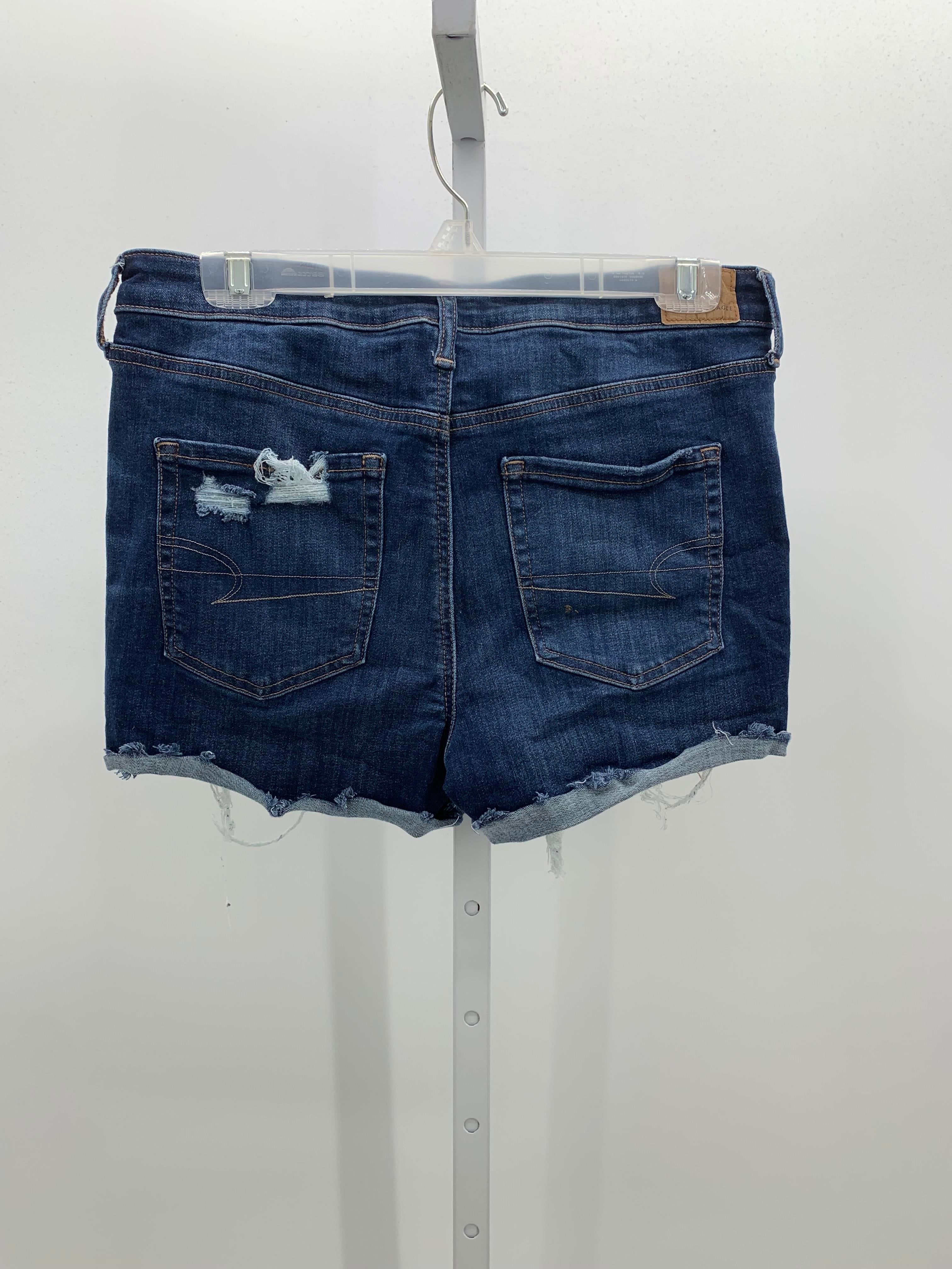 American Eagle Size 10 Juniors Shorts