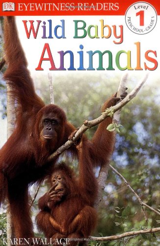 Wild Baby Animals by Karen Wallace (Paperback) - Karen Wallace