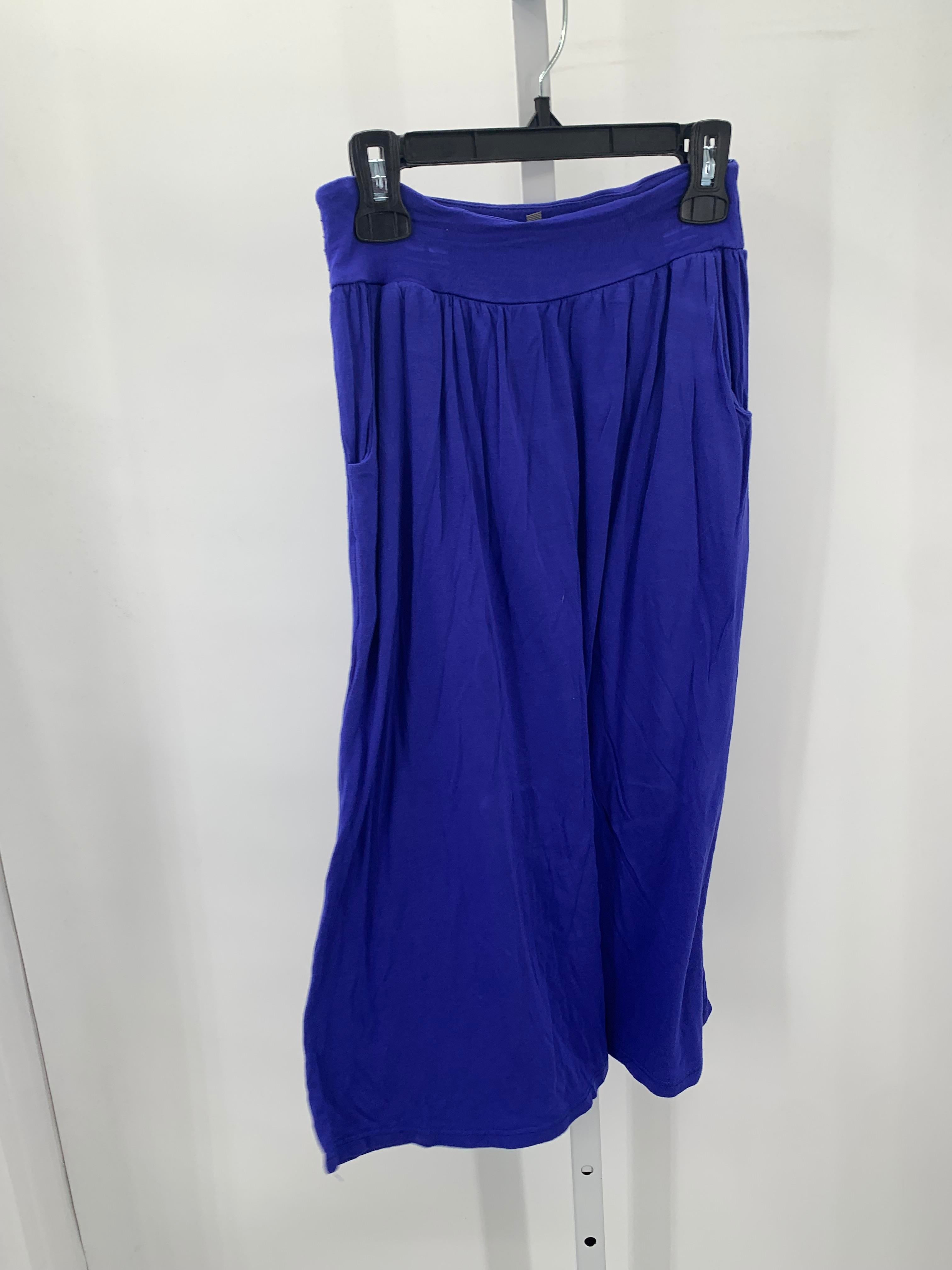 Size Small Juniors Skirt