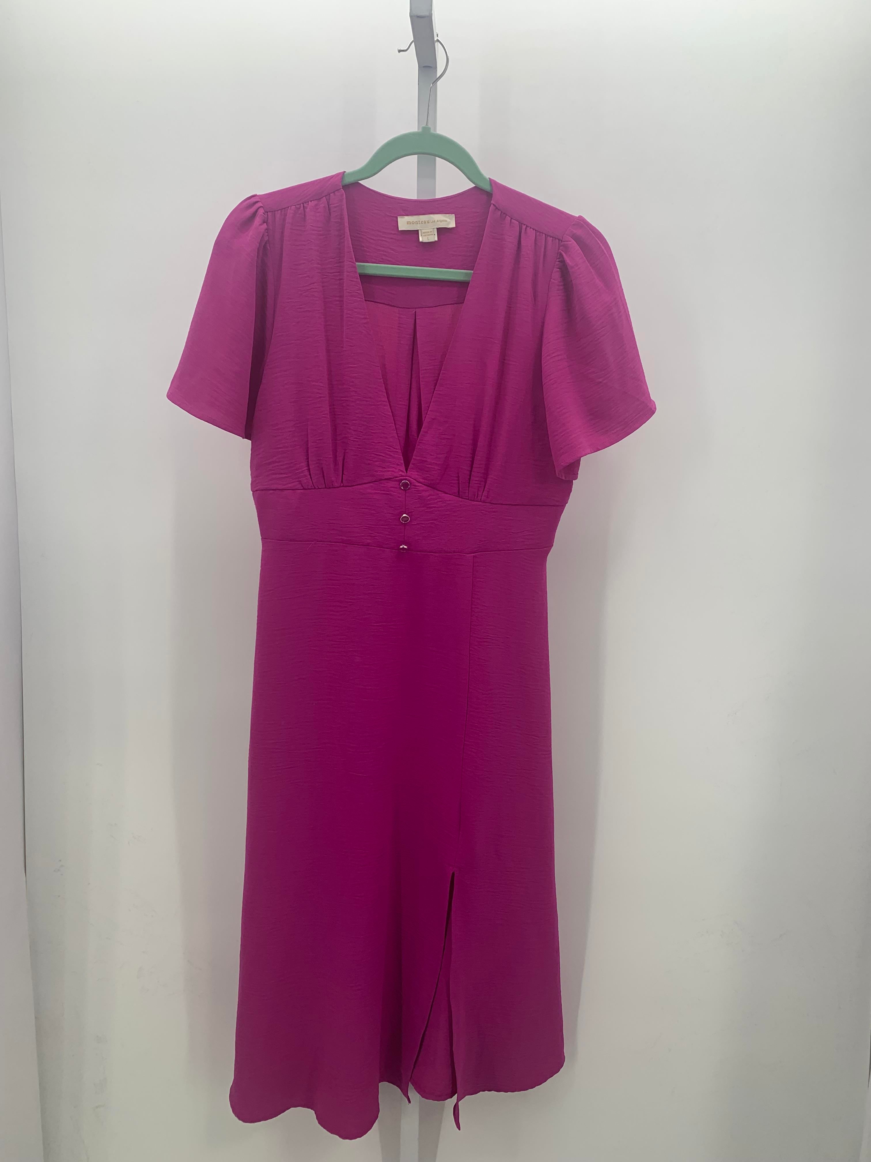 monteau Size Large Misses Short Sleeve Dress