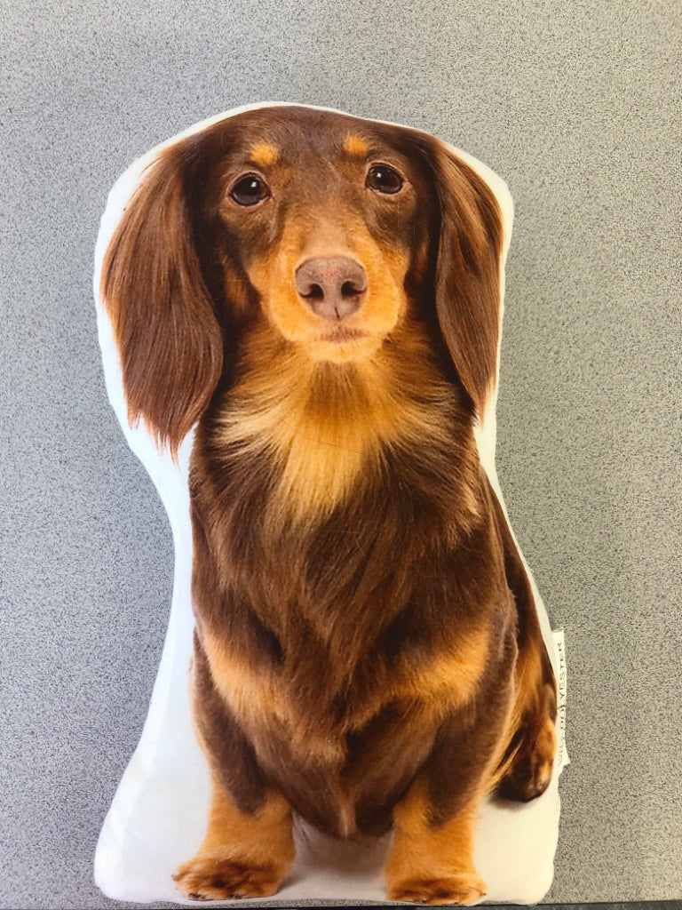 DACHSHUND PILLOW .