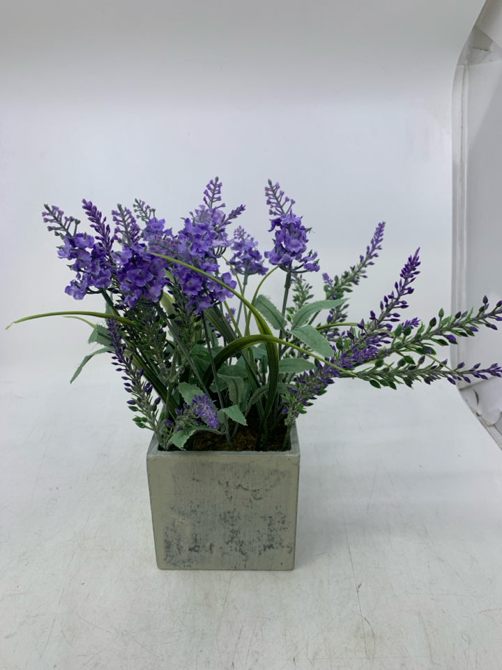 LAVENDER IN SQUARE PLANTER.