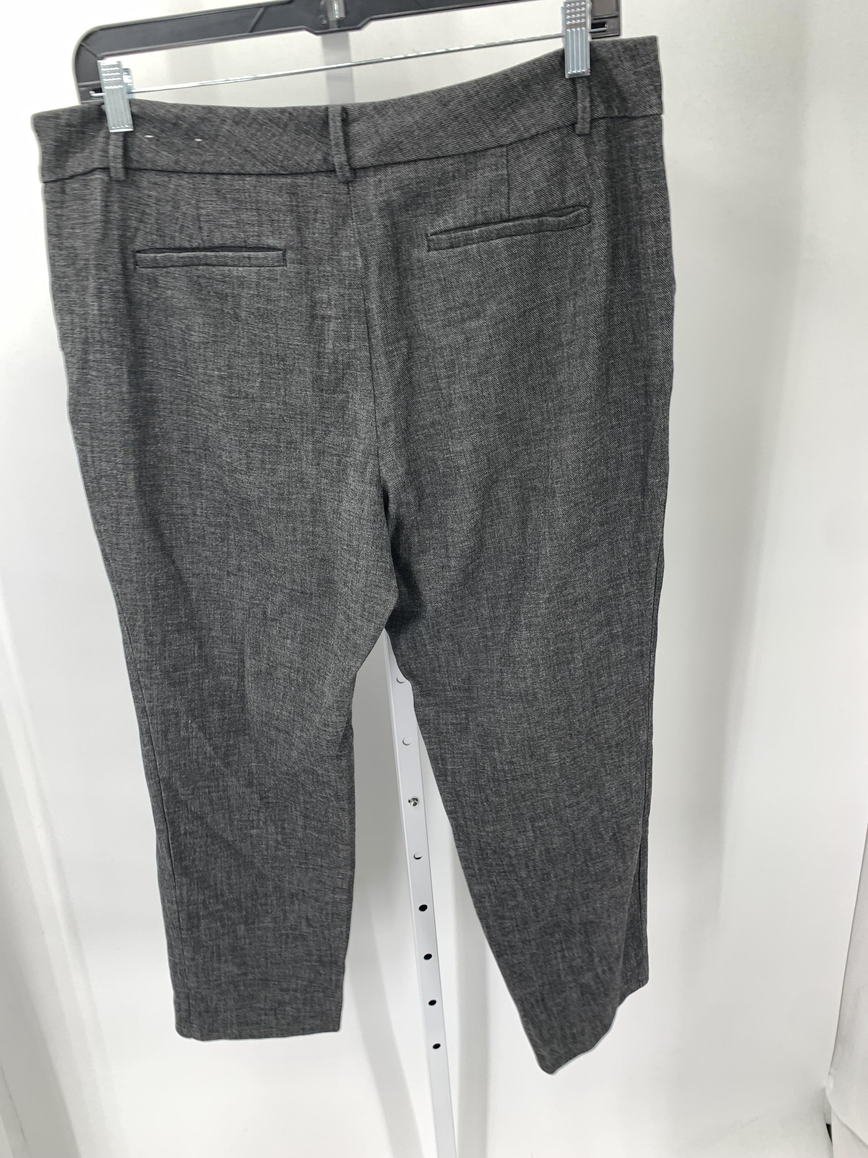 Ann Taylor Size 16 Misses Pants