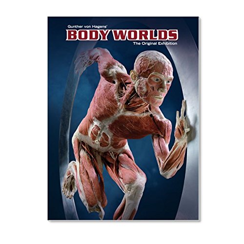 Body Worlds - the Original Exhibition - Gunther von Hagens