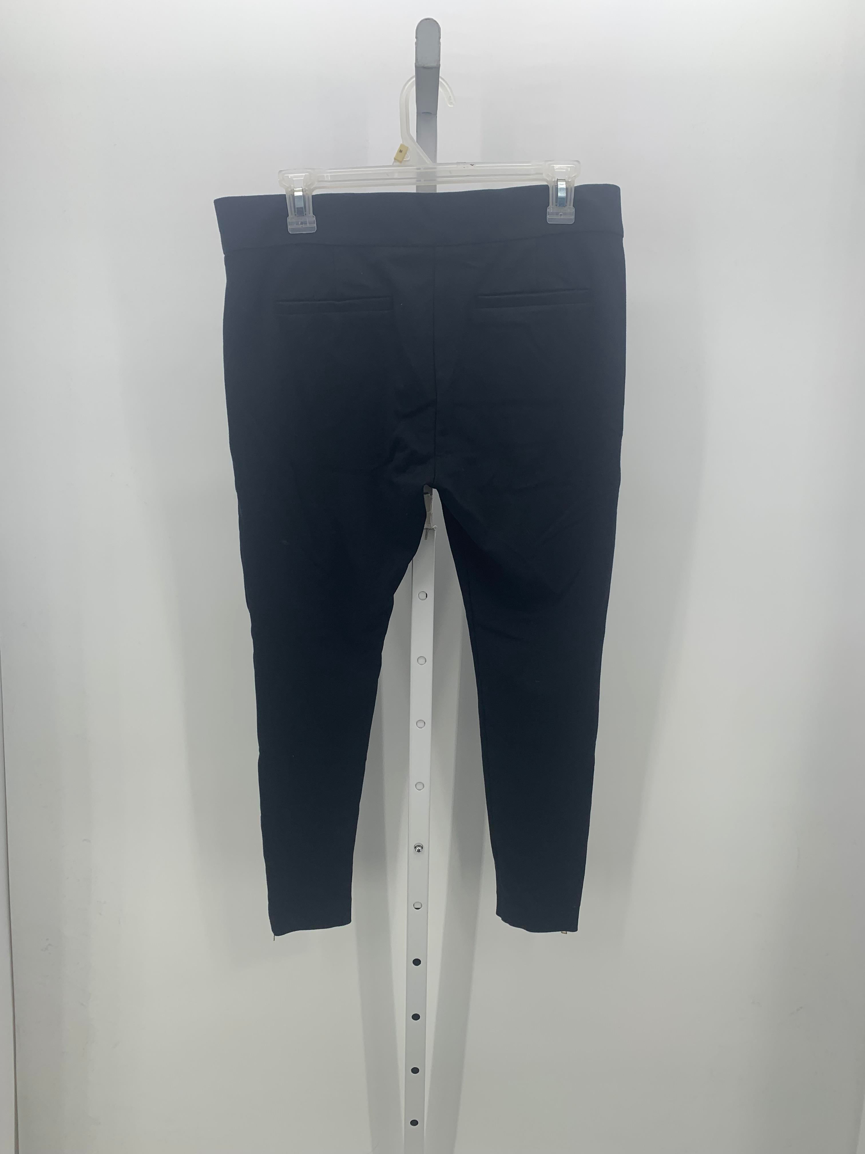 Loft Size 12 Petite Petite Pants