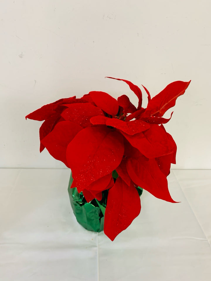 POINSETTIA IN GREEN FOIL.