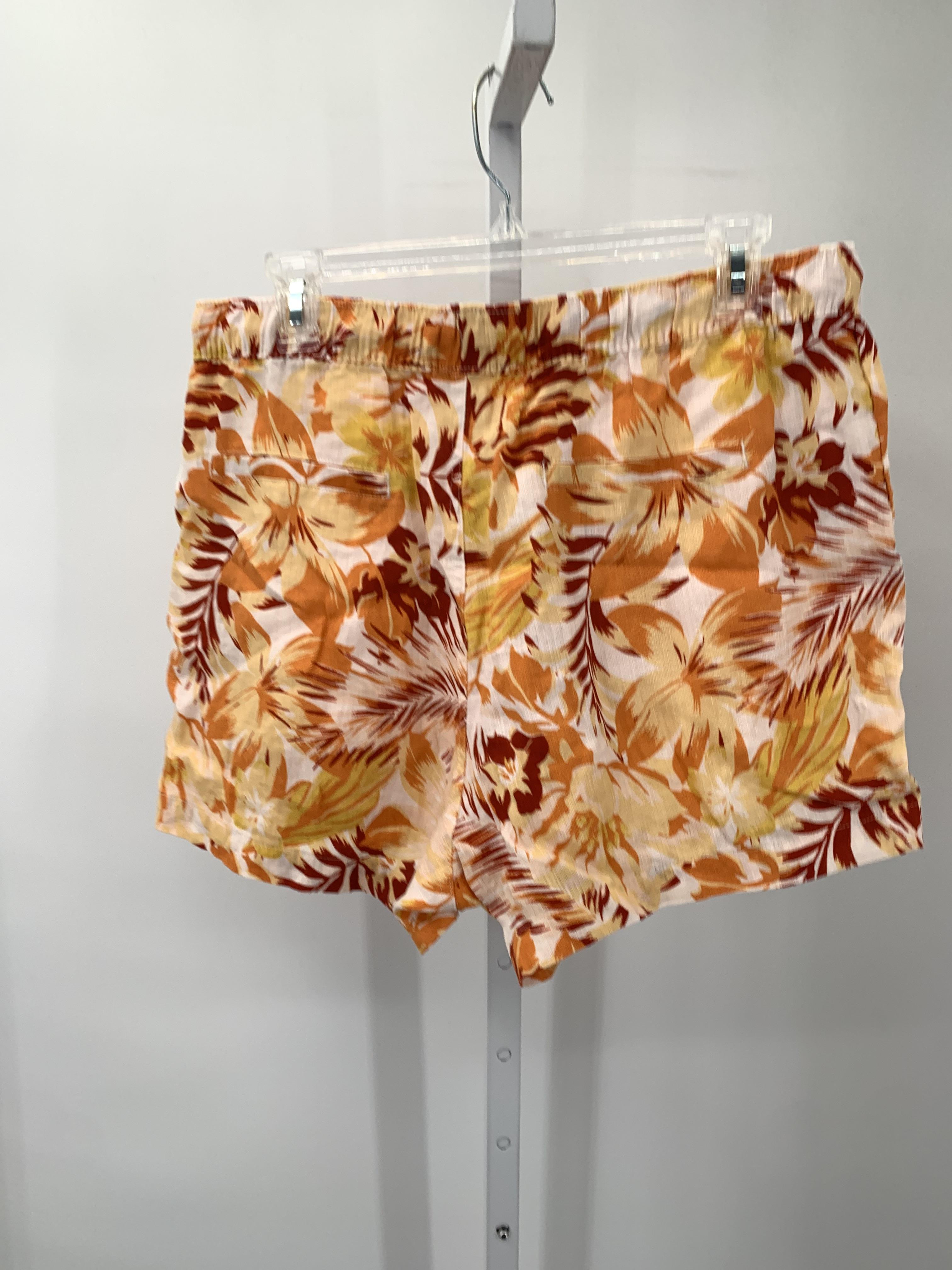 Size Large Misses Shorts