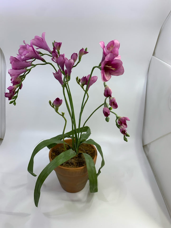 FAUX PURPLE ORCHID FLOWERS IN TERRA COTTA POT.