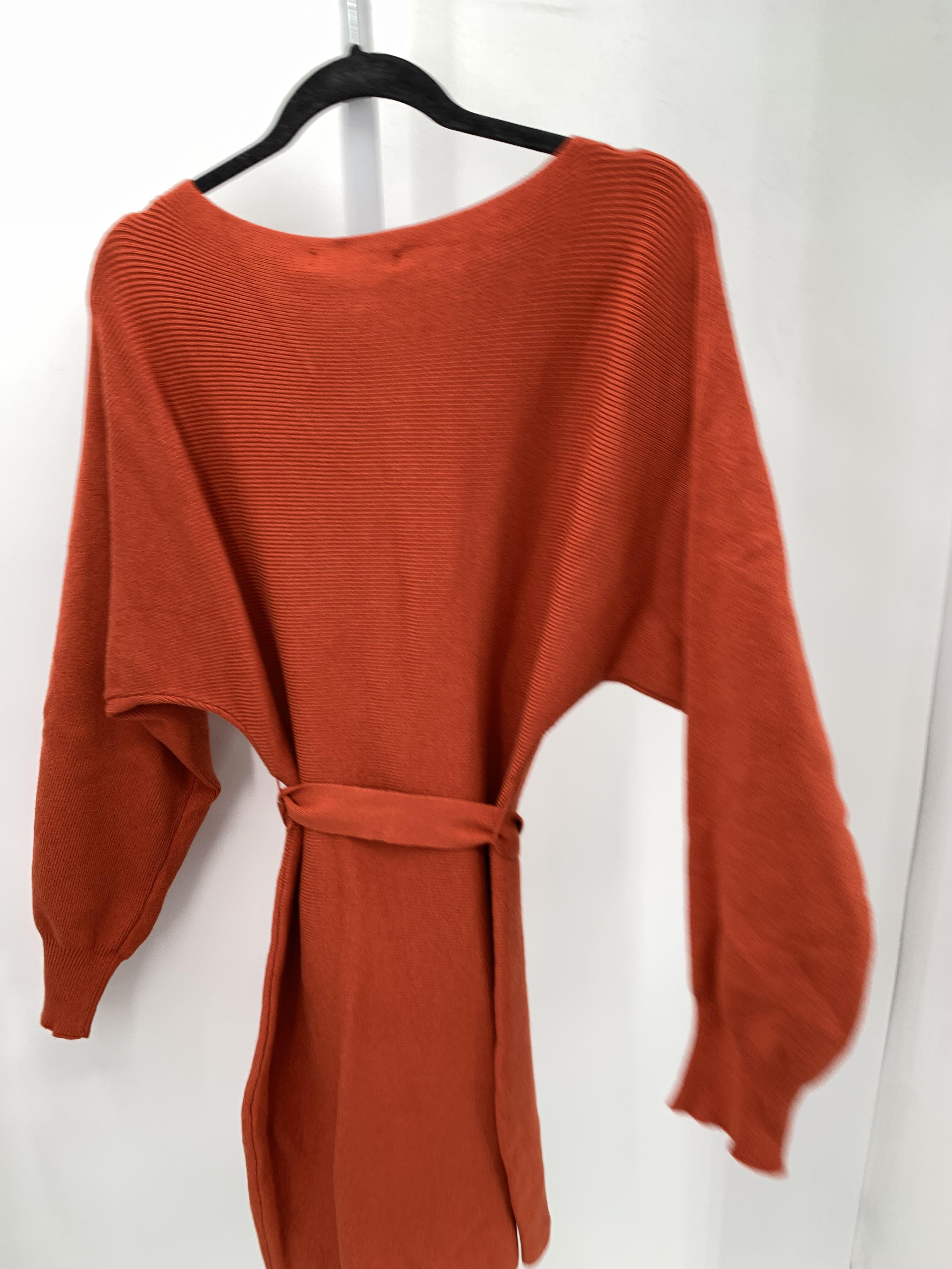 Size Large Misses Long Sleeve Dress