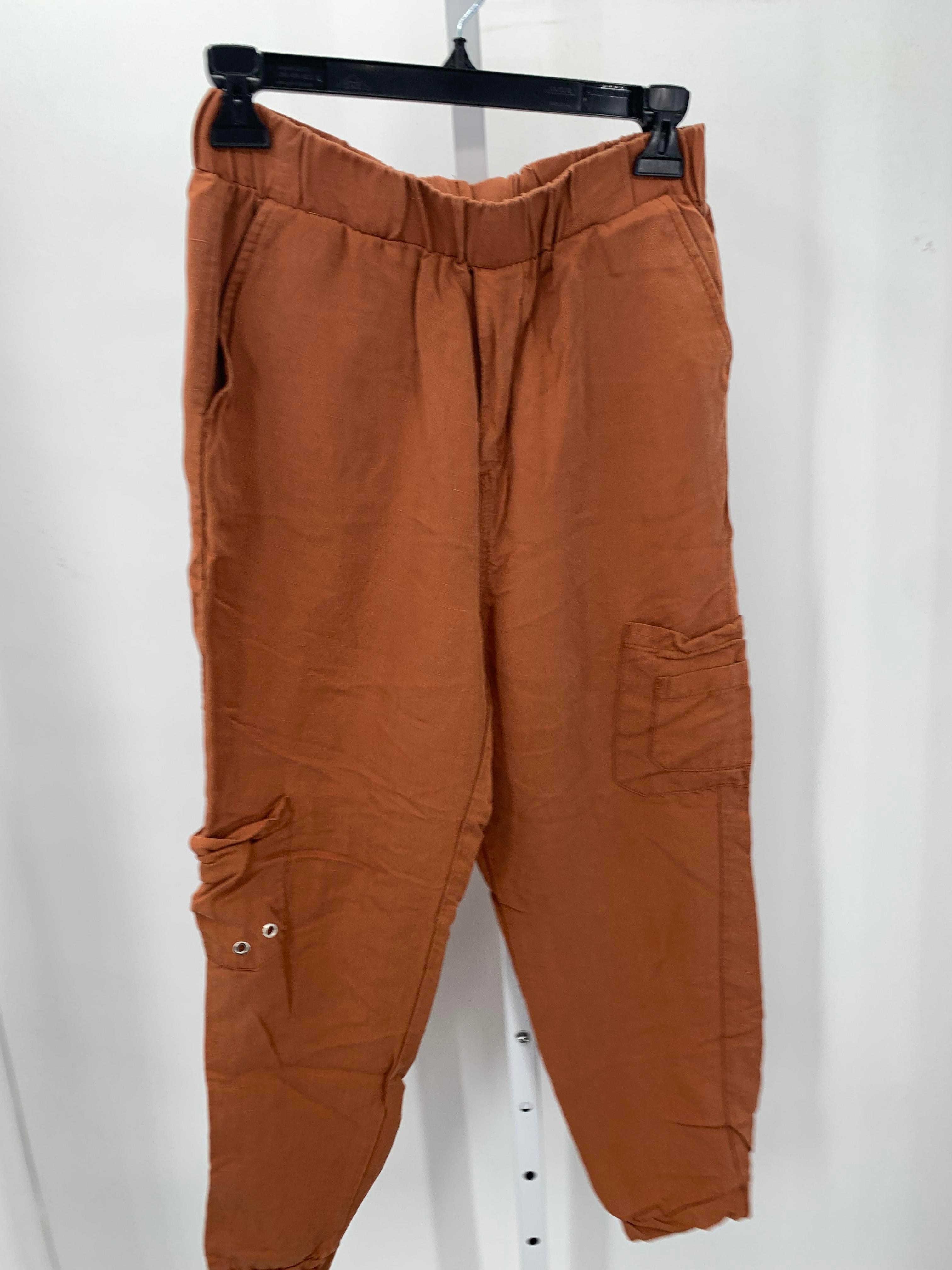 Zara Size Small Misses Pants