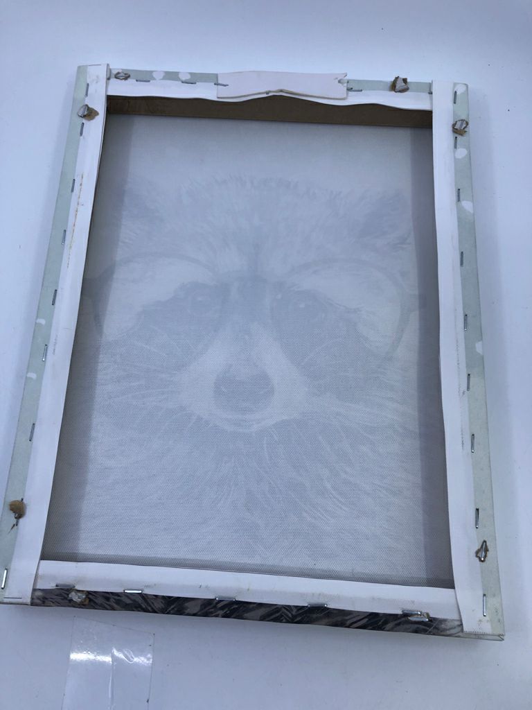 RACOON CANVAS W/ GLASSES.