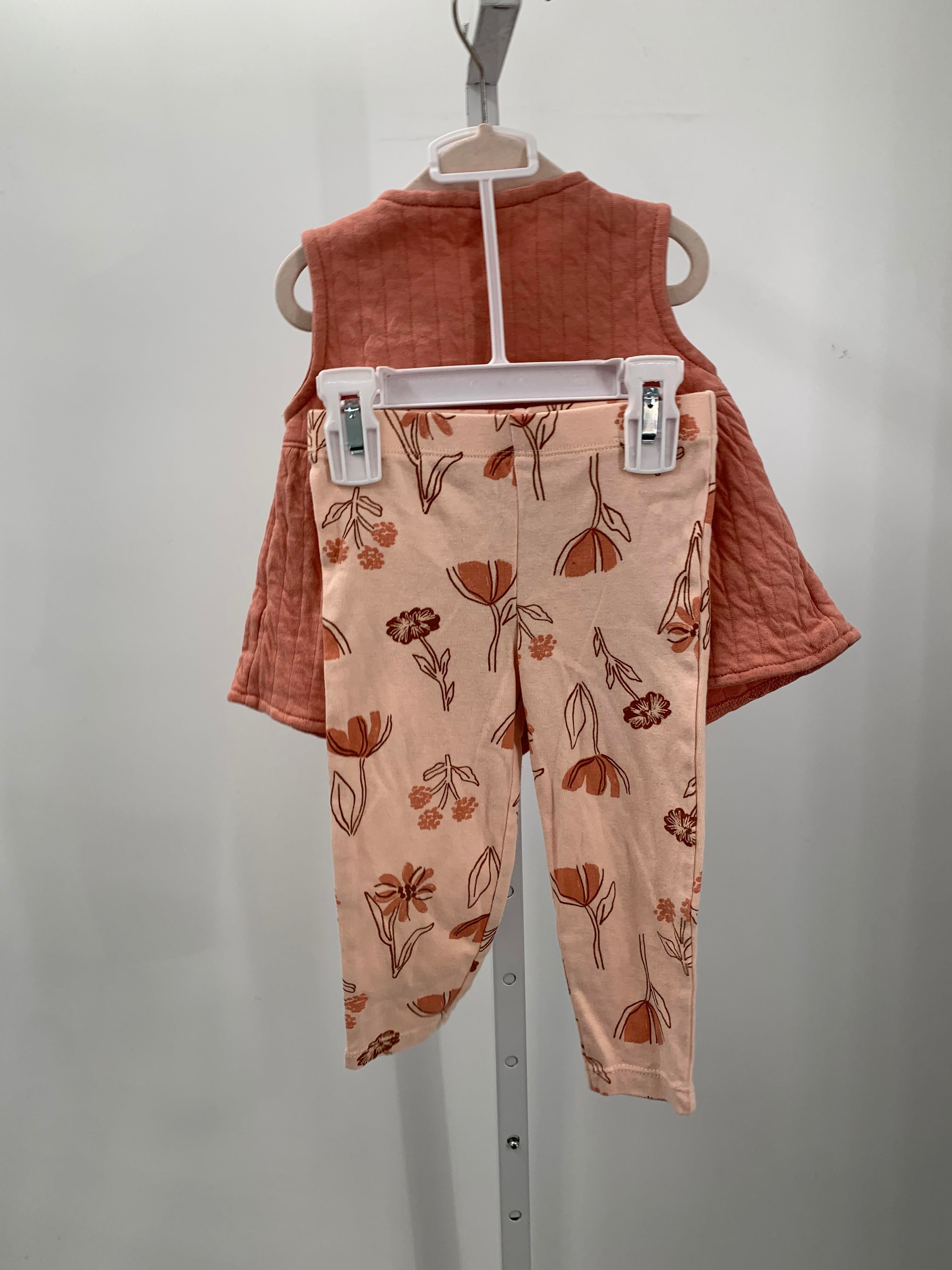 Carters Size 18 Months Girls 2 Pieces