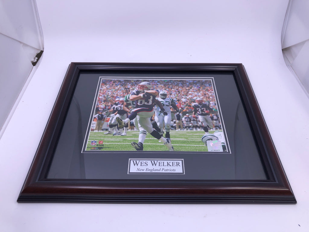 WES WELKER PATRIOTS WALL HANGING.